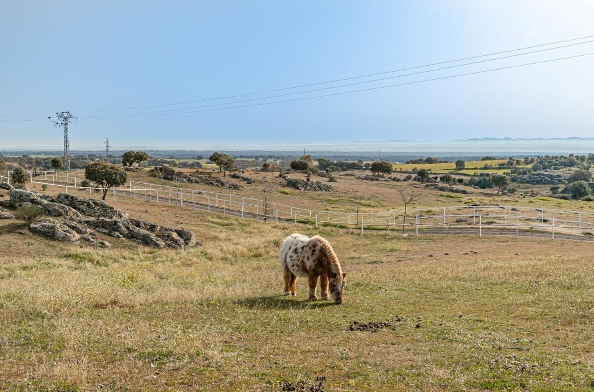 Industrial en venta  calle de oropesa a Puente de Arzopispo, El Puente del Arzobispo  50/50