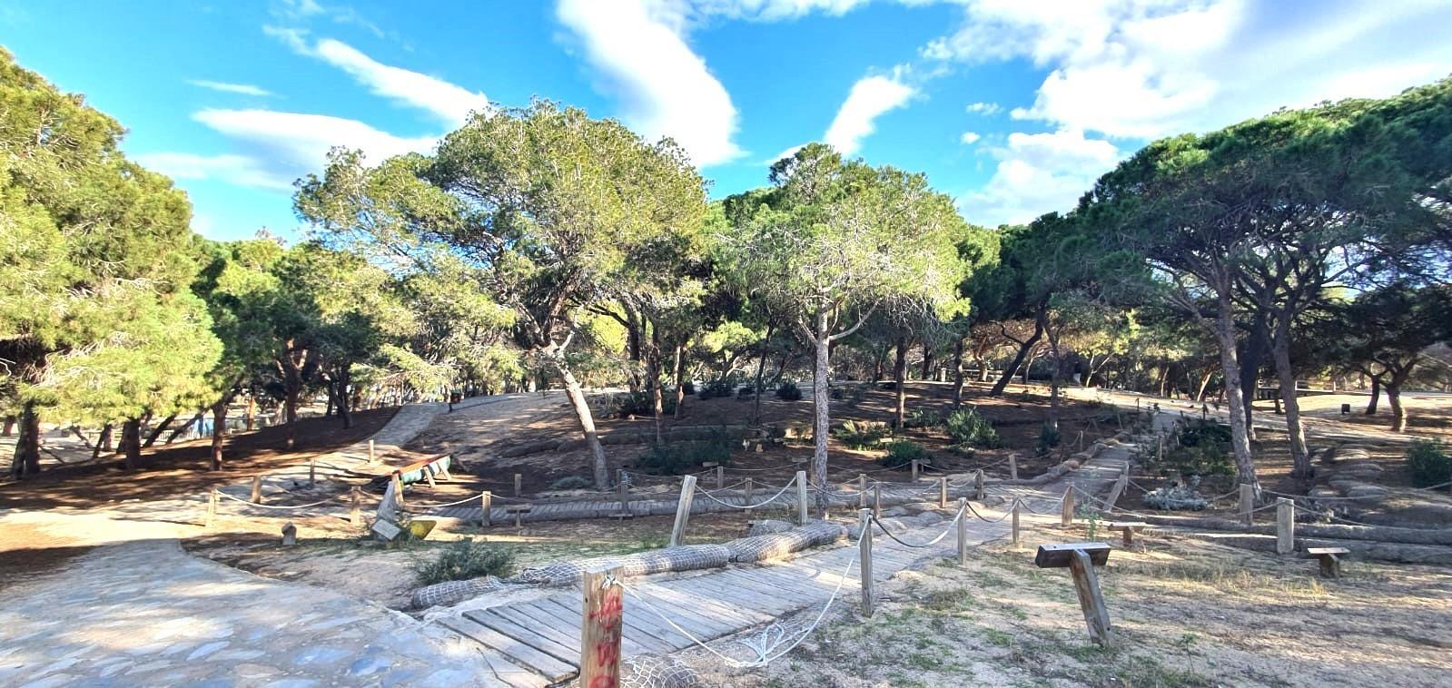 Pisos-Venta-Guardamar del Segura-1641557-Foto-4