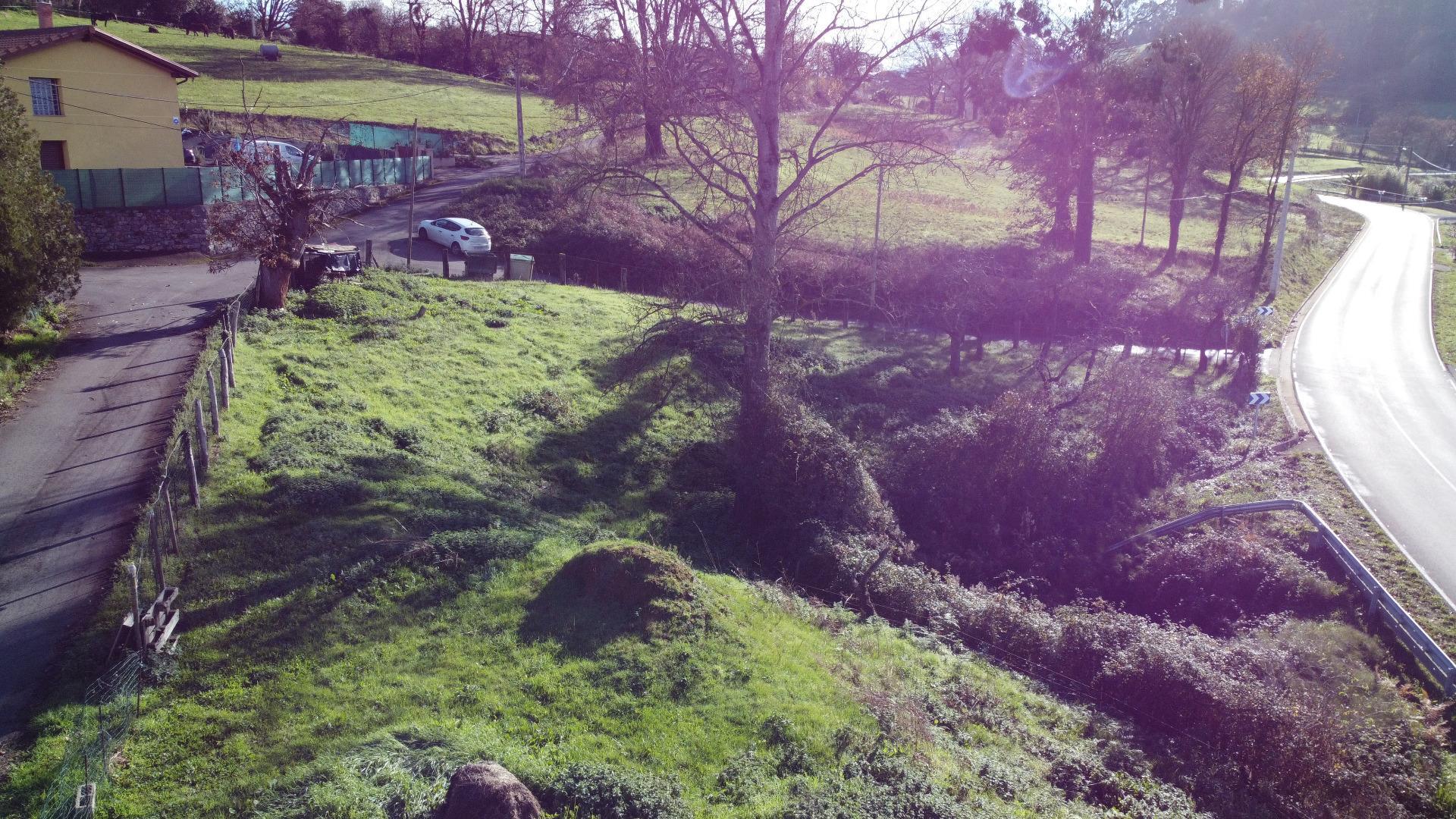 Fincas y solares-Venta-Las Regueras-2011001-Foto-2