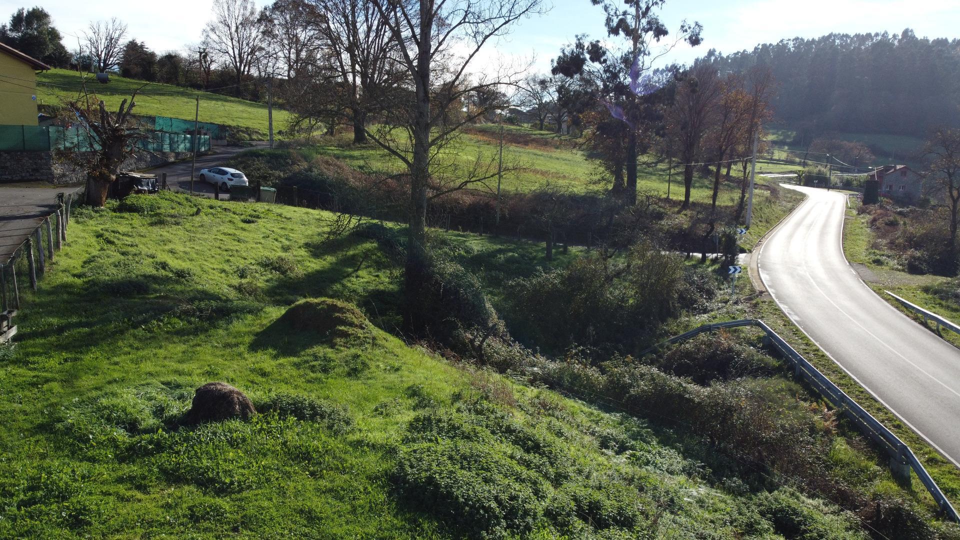 Fincas y solares-Venta-Las Regueras-2011001-Foto-11