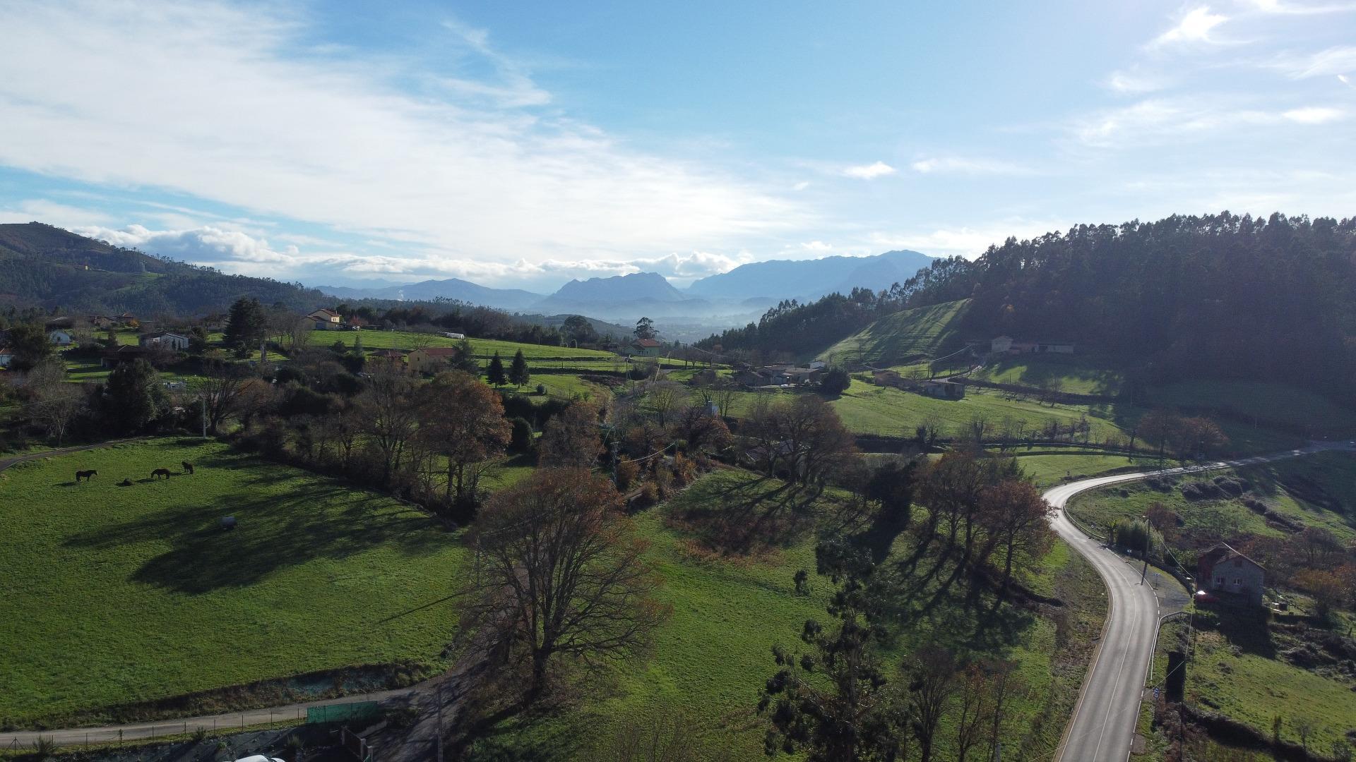 Fincas y solares-Venta-Las Regueras-2011001-Foto-29