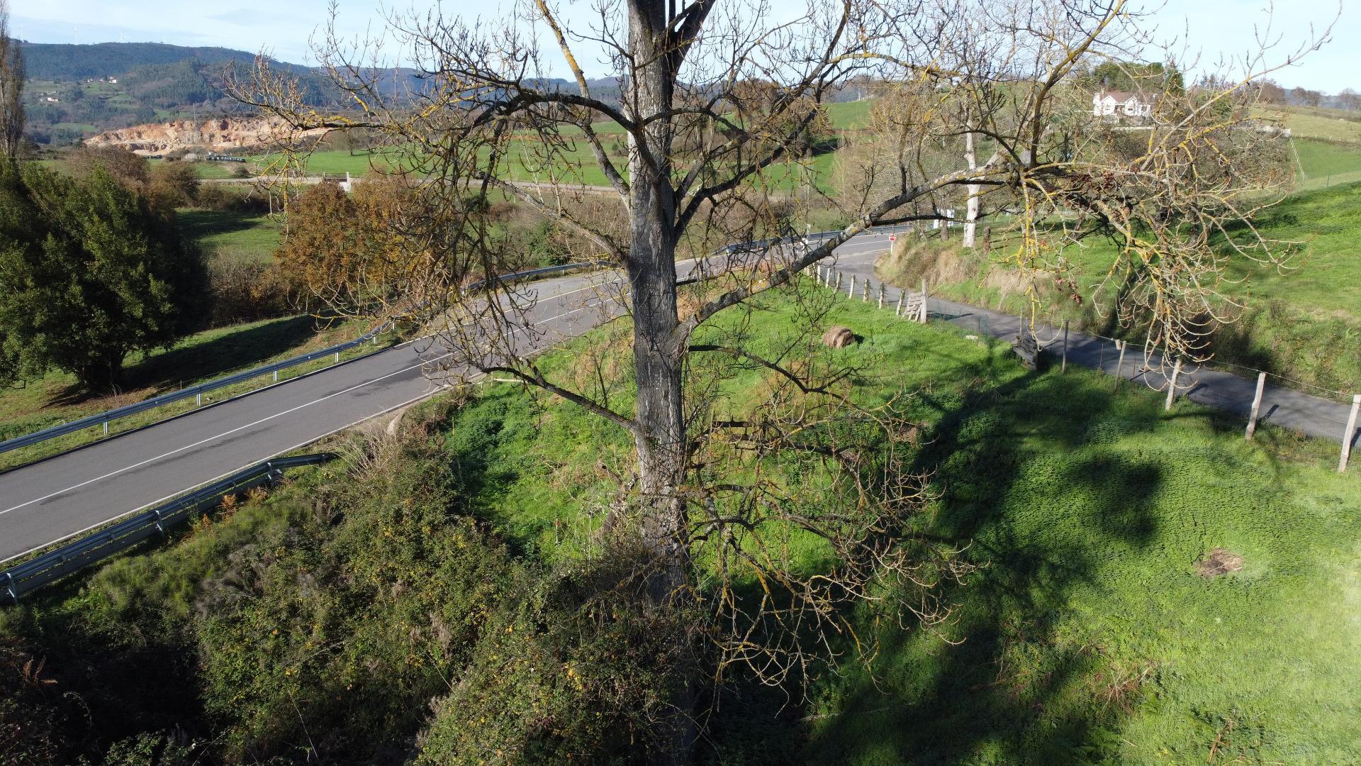 Fincas y solares-Venta-Las Regueras-2011001-Foto-26