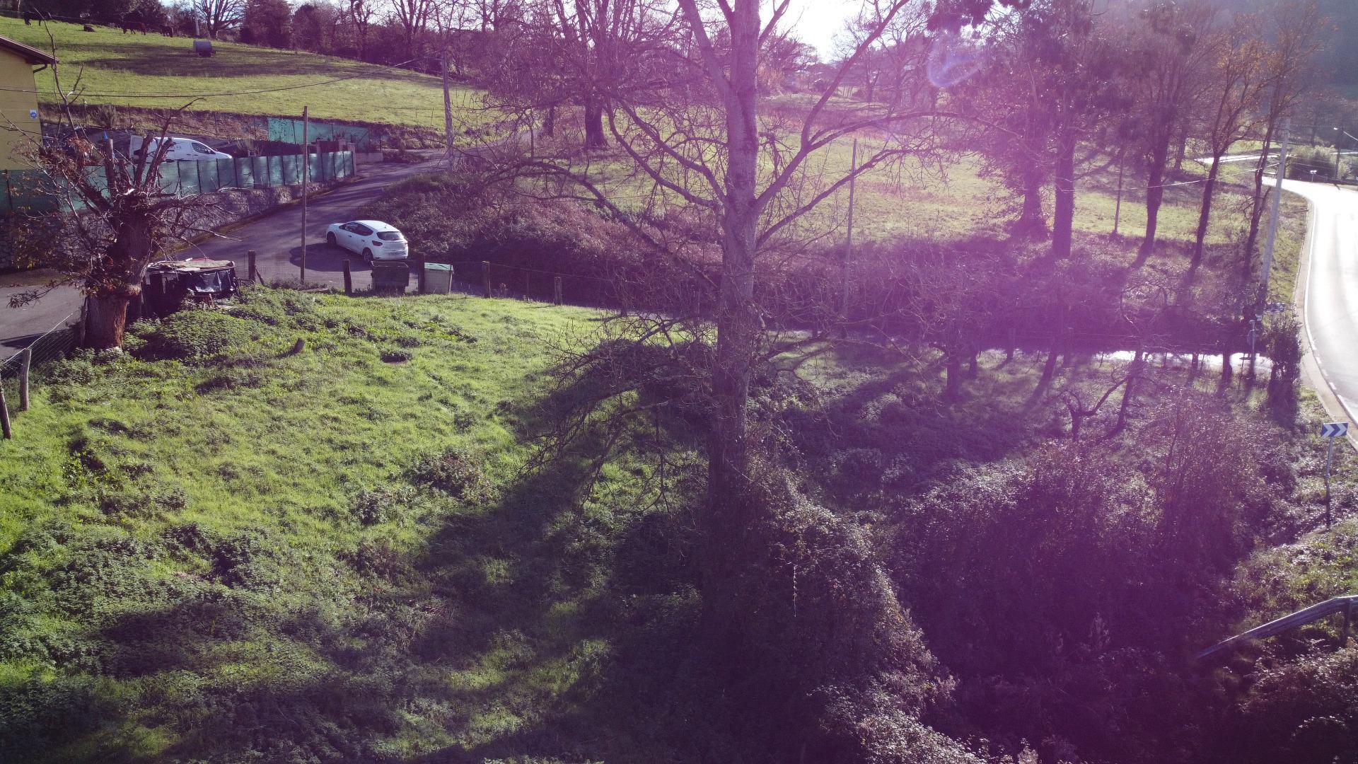 Fincas y solares-Venta-Las Regueras-2011001-Foto-27