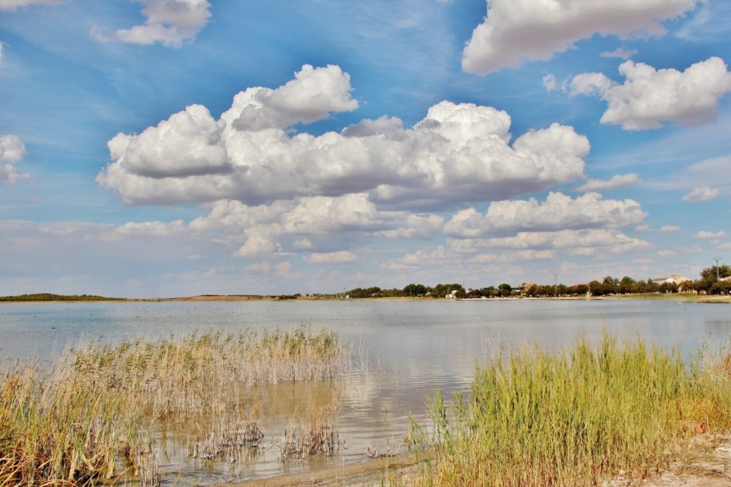 Pisos-Venta-Villafranca de los Caballeros-1021009-Foto-15