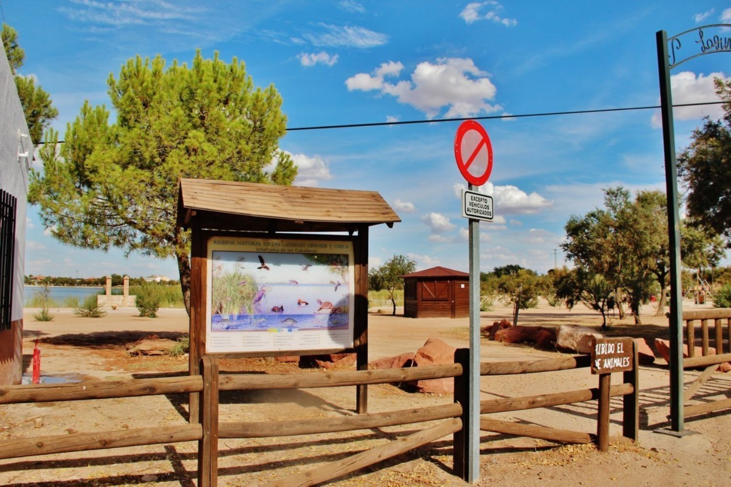 Pisos-Venta-Villafranca de los Caballeros-1021009-Foto-19