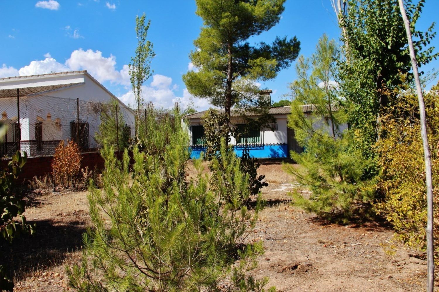 Pisos-Venta-Villafranca de los Caballeros-1021009-Foto-24