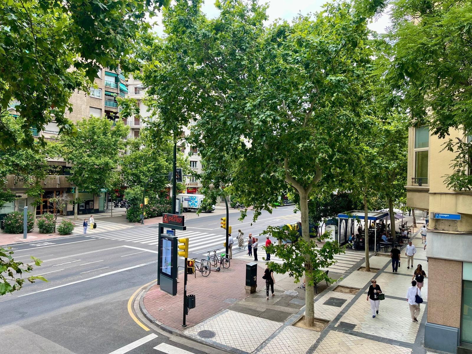 Piso en venta  calle Pamplona, 13, Zaragoza  59/64