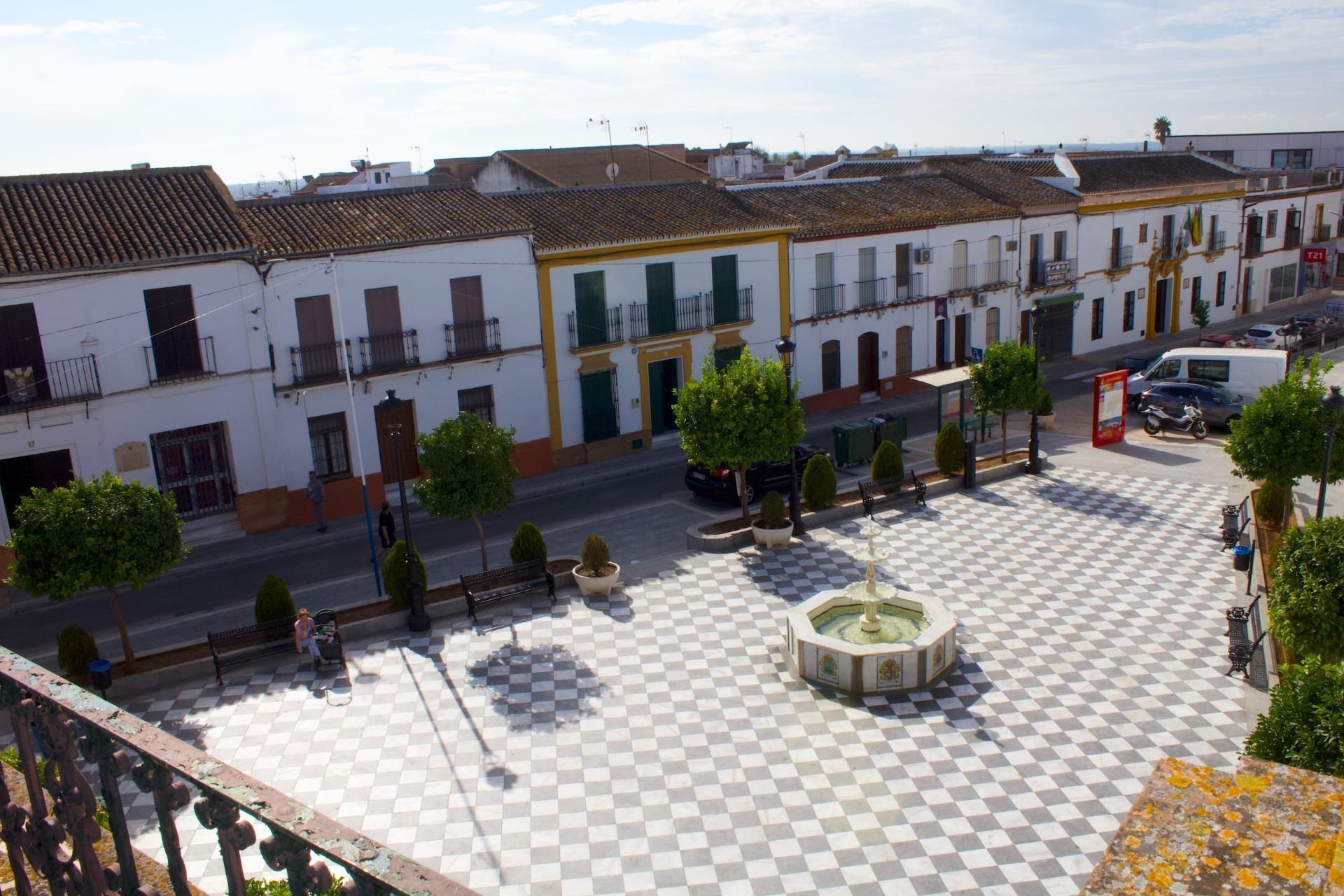 Casas o chalets-Venta-AznalcÃ¡zar-1968513-Foto-4