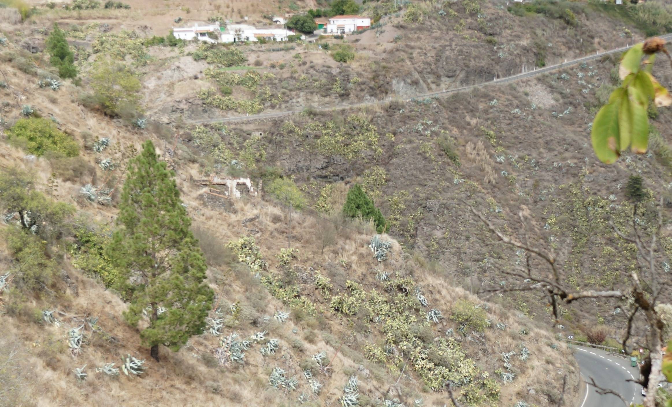 Pisos-Venta-Vega de San Mateo-1841837-Foto-4