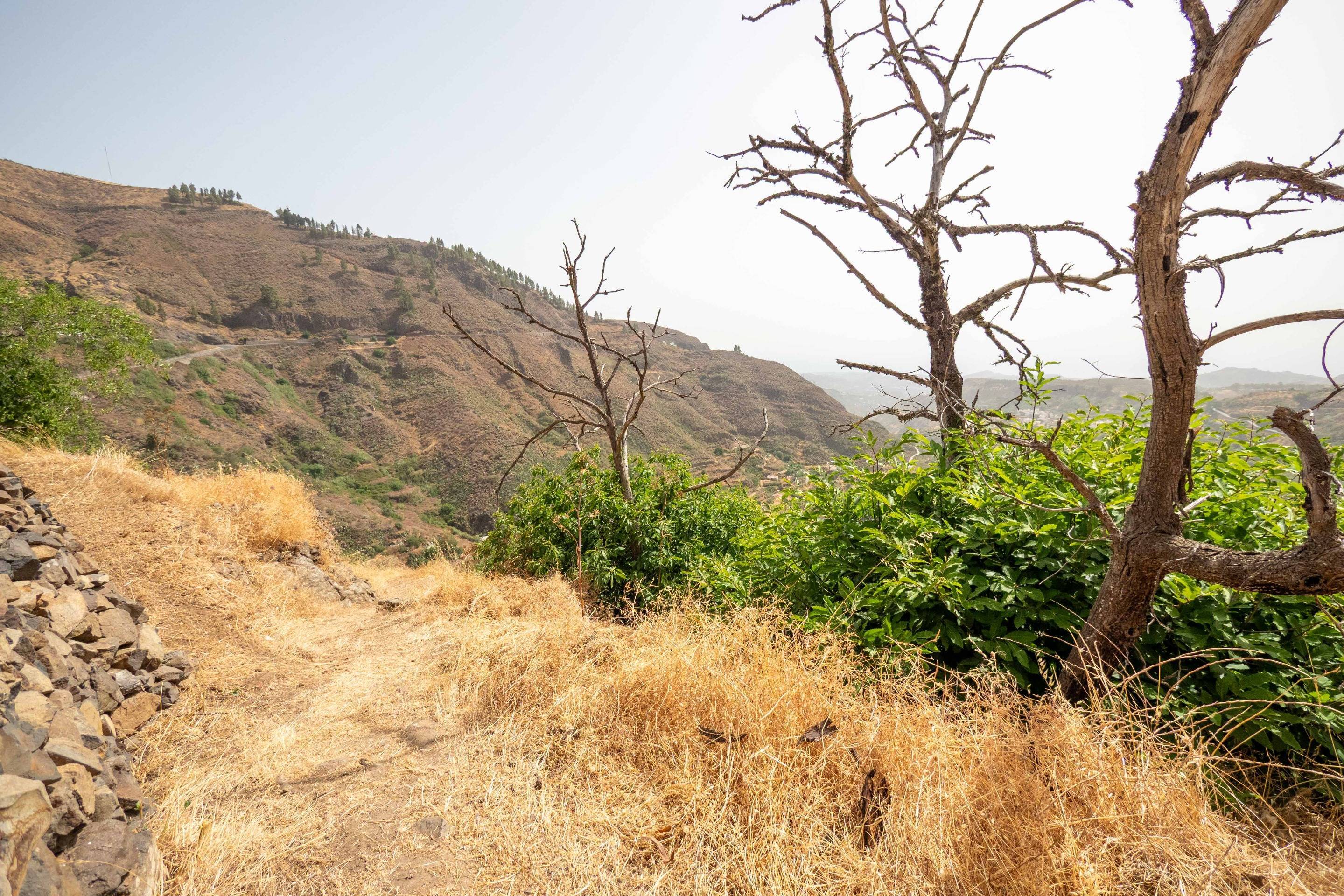 Pisos-Venta-Vega de San Mateo-1790799-Foto-38