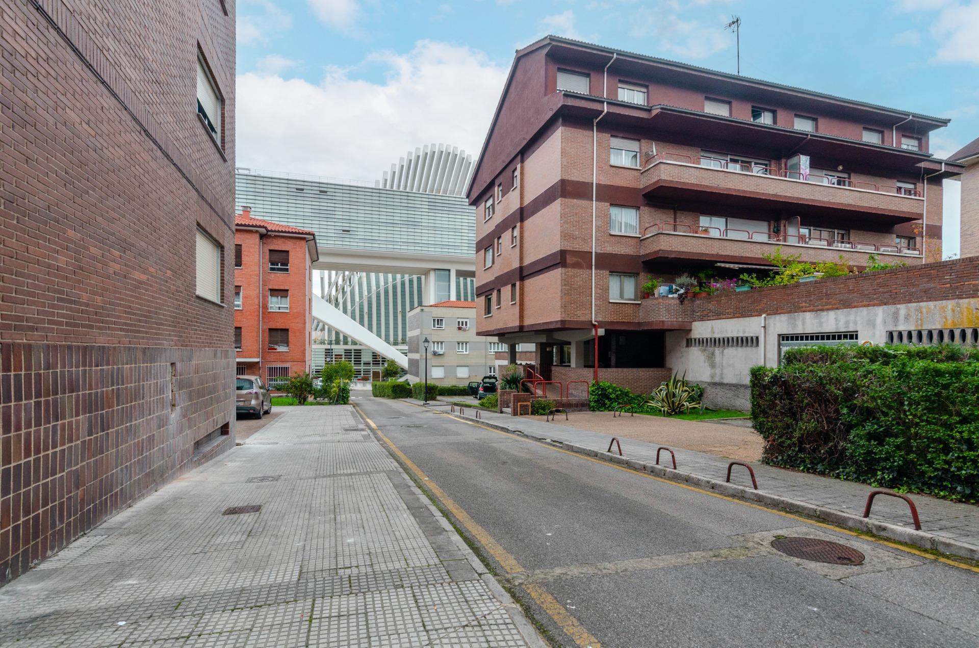 Pisos-Venta-Oviedo-2011022-Foto-39