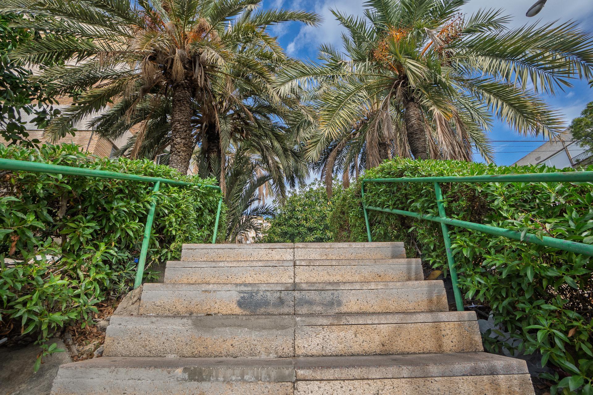 Pisos-Venta-Alicante-2011043-Foto-19