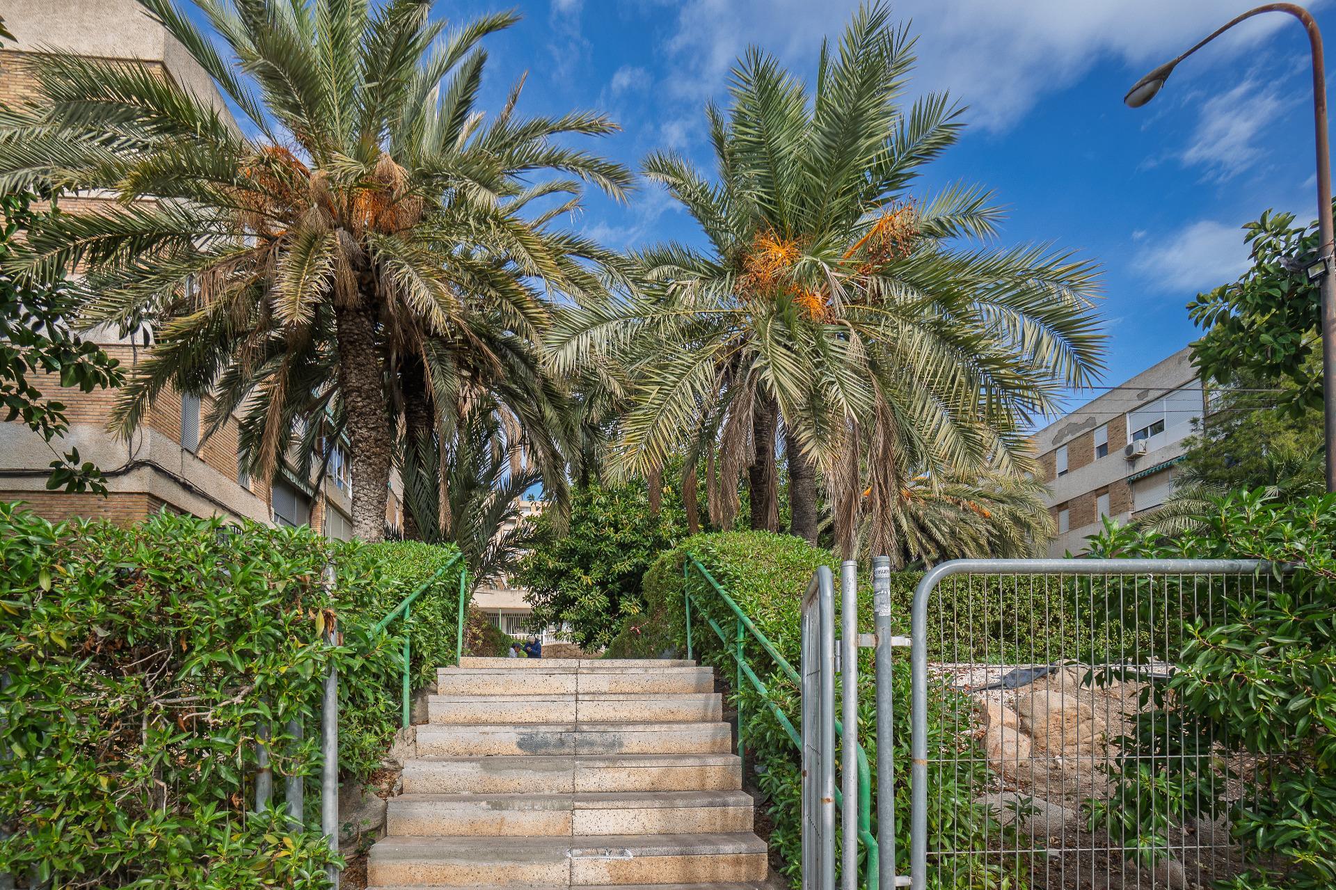 Pisos-Venta-Alicante-2011043-Foto-18