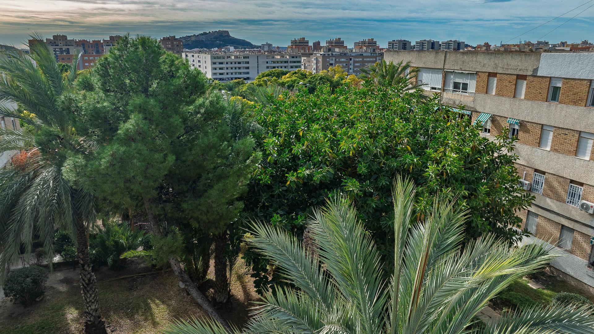 Pisos-Venta-Alicante-2011043-Foto-17