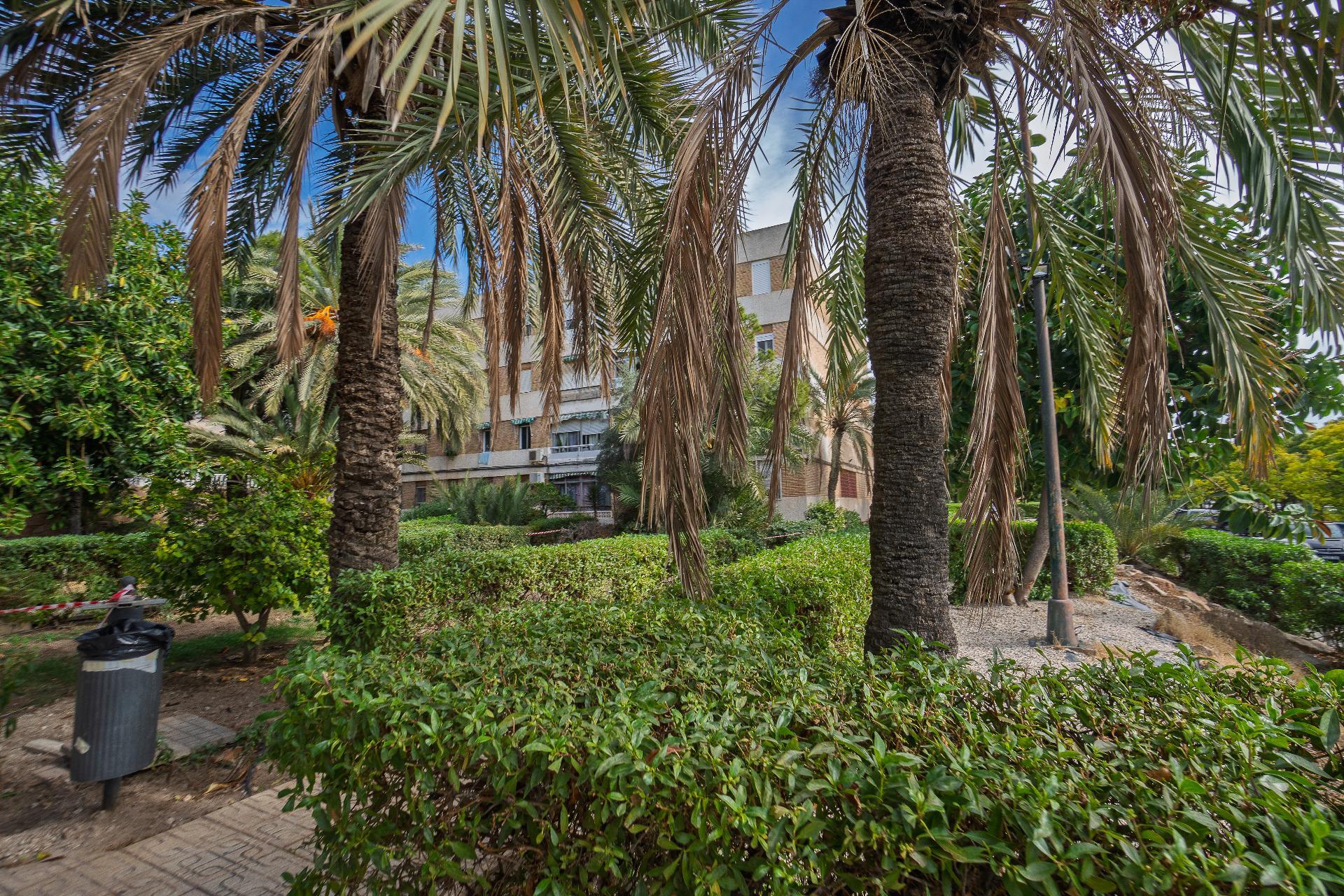 Pisos-Venta-Alicante-2011043-Foto-21