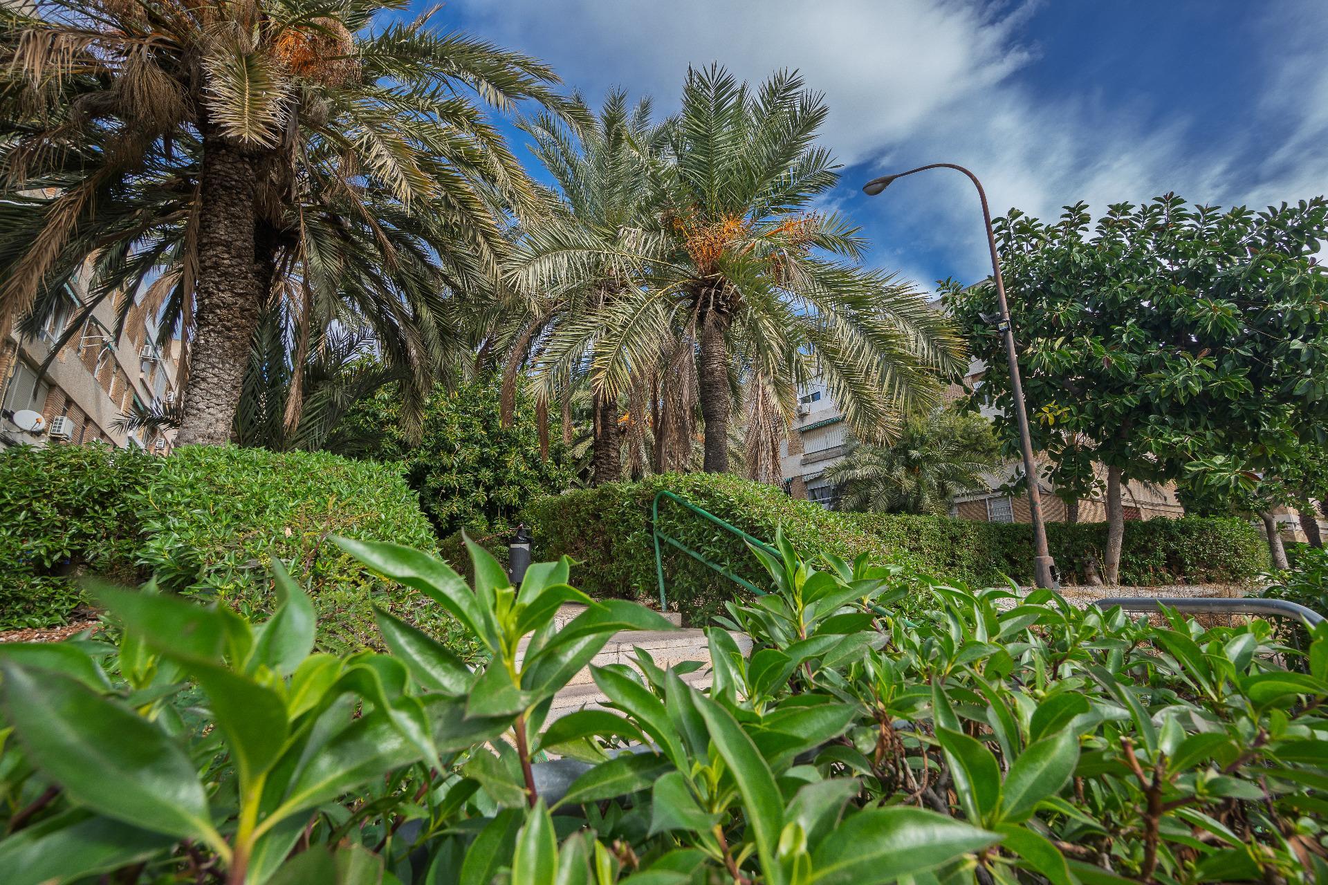 Pisos-Venta-Alicante-2011043-Foto-20