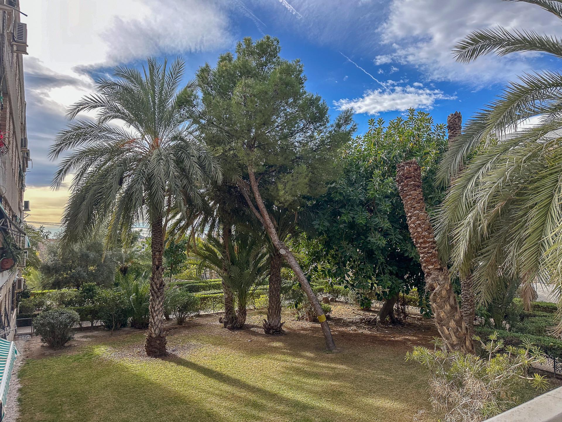 Pisos-Venta-Alicante-2011043-Foto-24