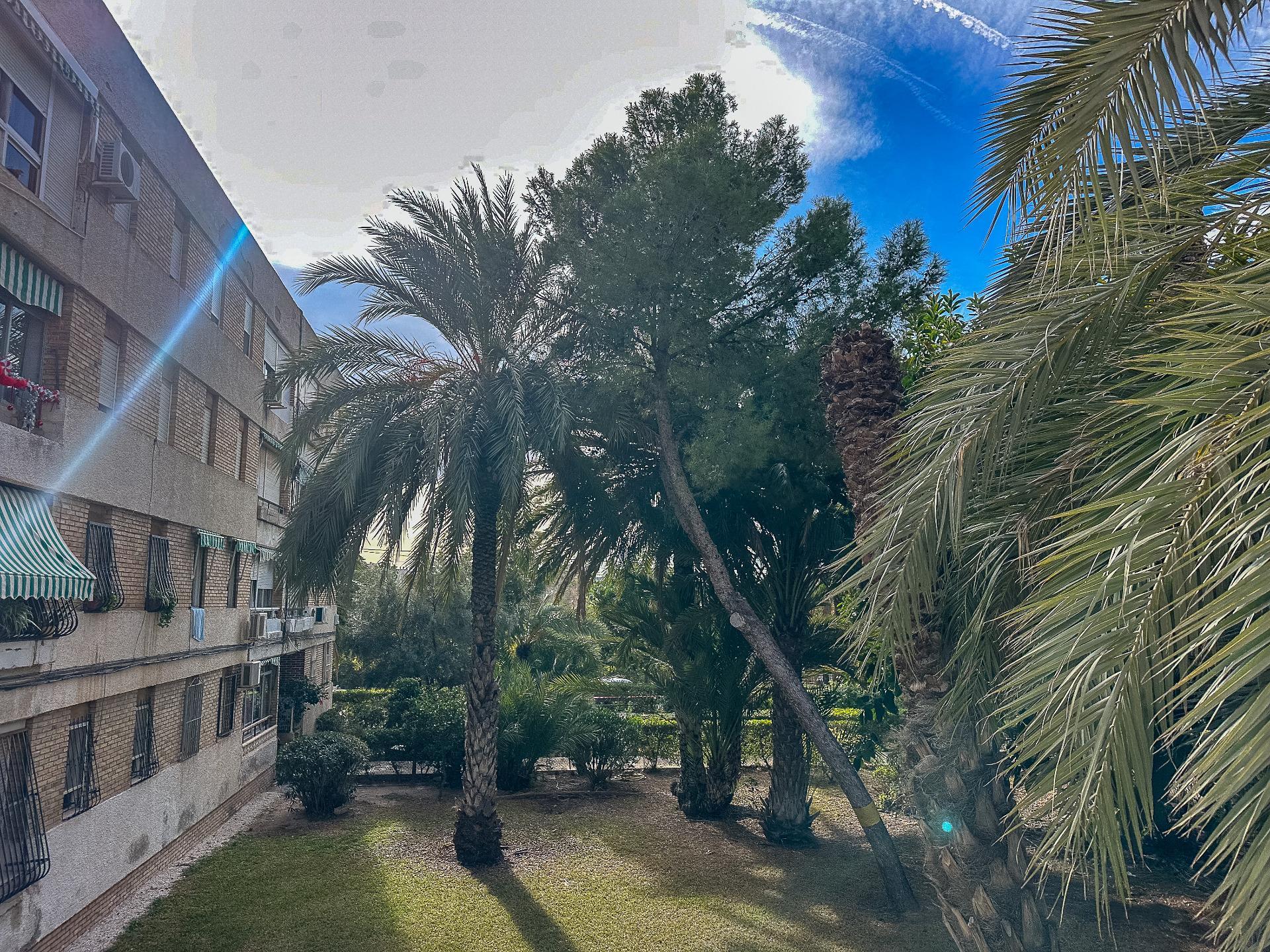 Pisos-Venta-Alicante-2011043-Foto-25