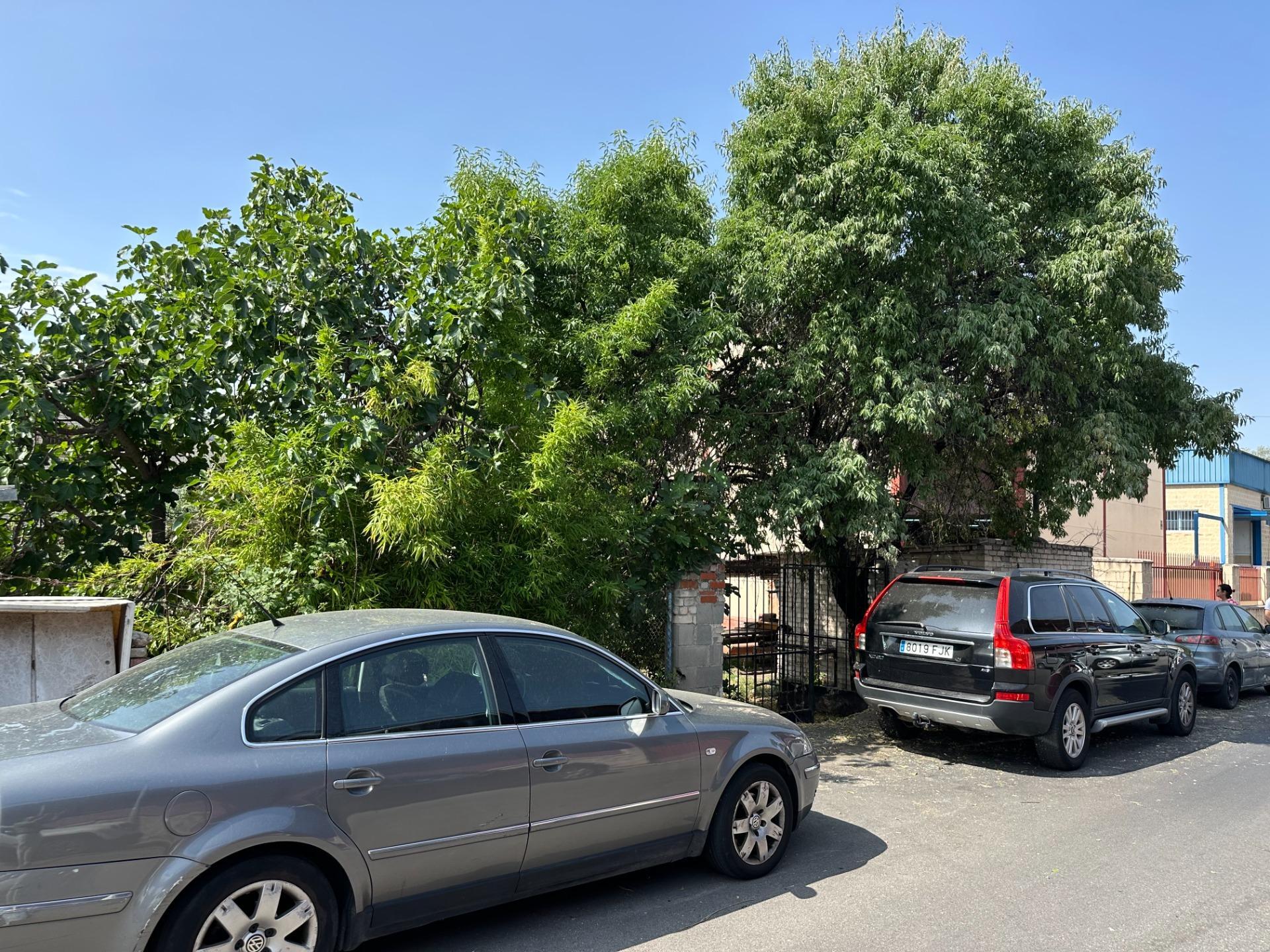 Terreno en venta  calle ESCOMBRERAS, Paracuellos de Jarama  6/22