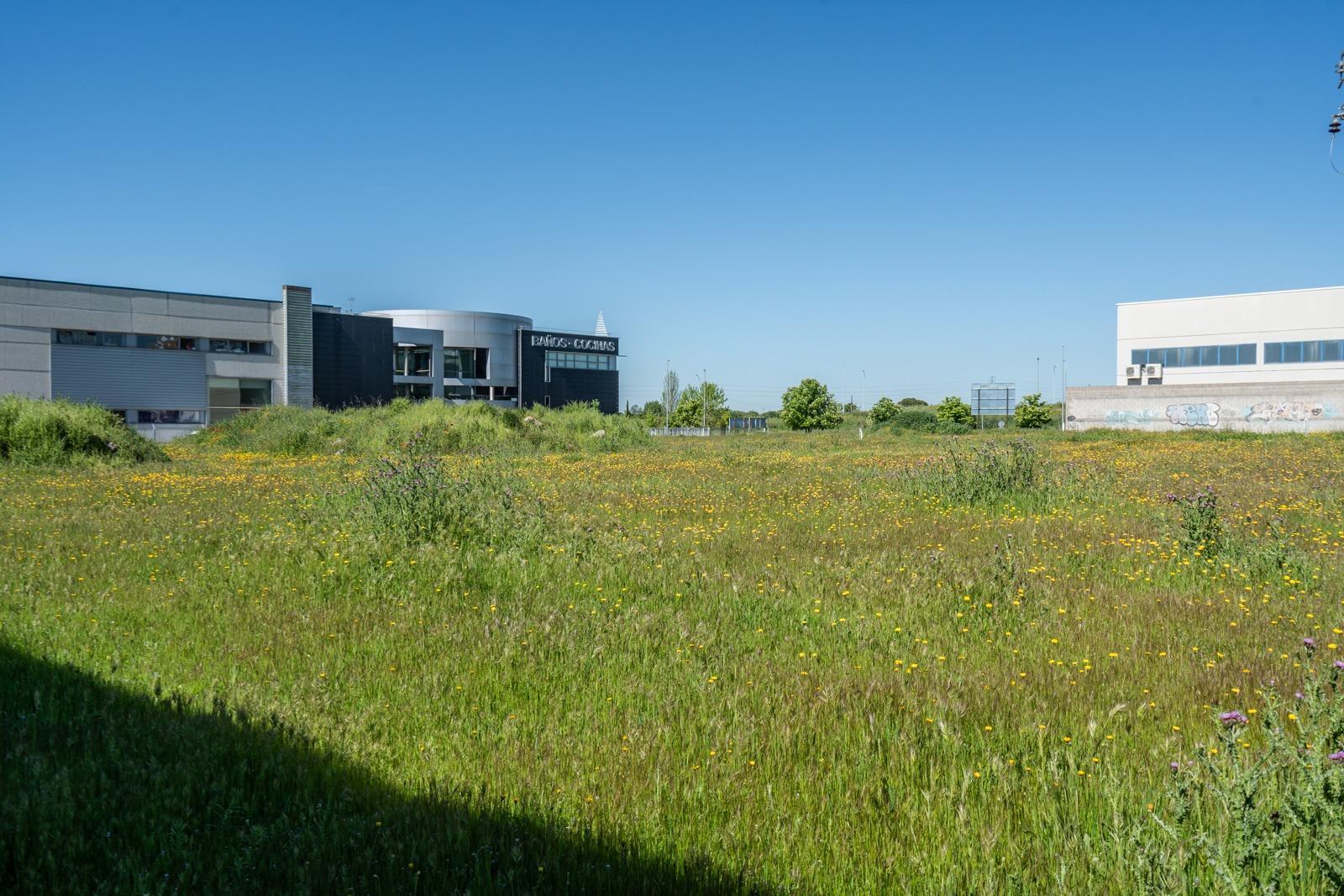 Fincas y solares-Venta-Parla-1719316-Foto-10