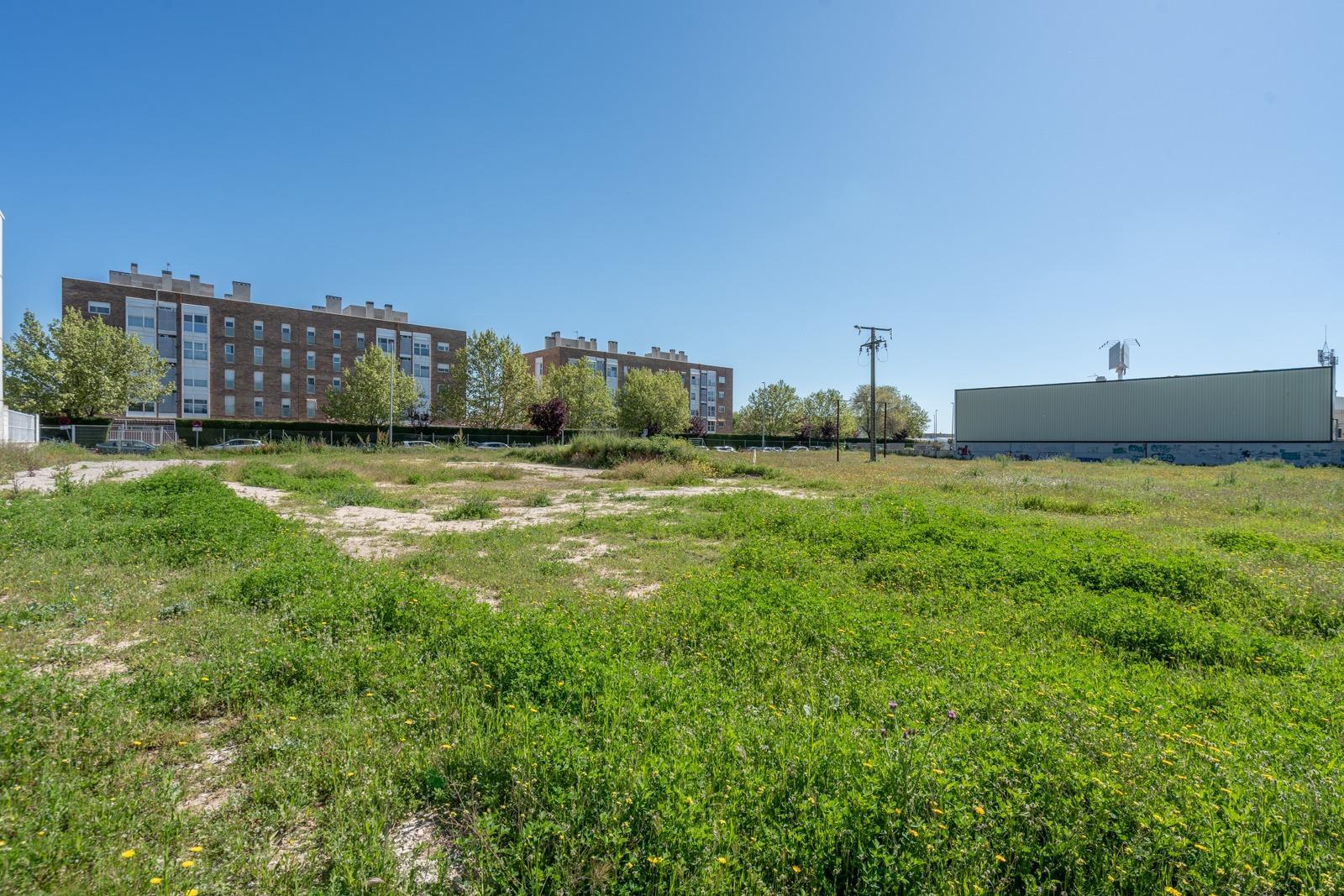 Fincas y solares-Venta-Parla-1719316-Foto-15