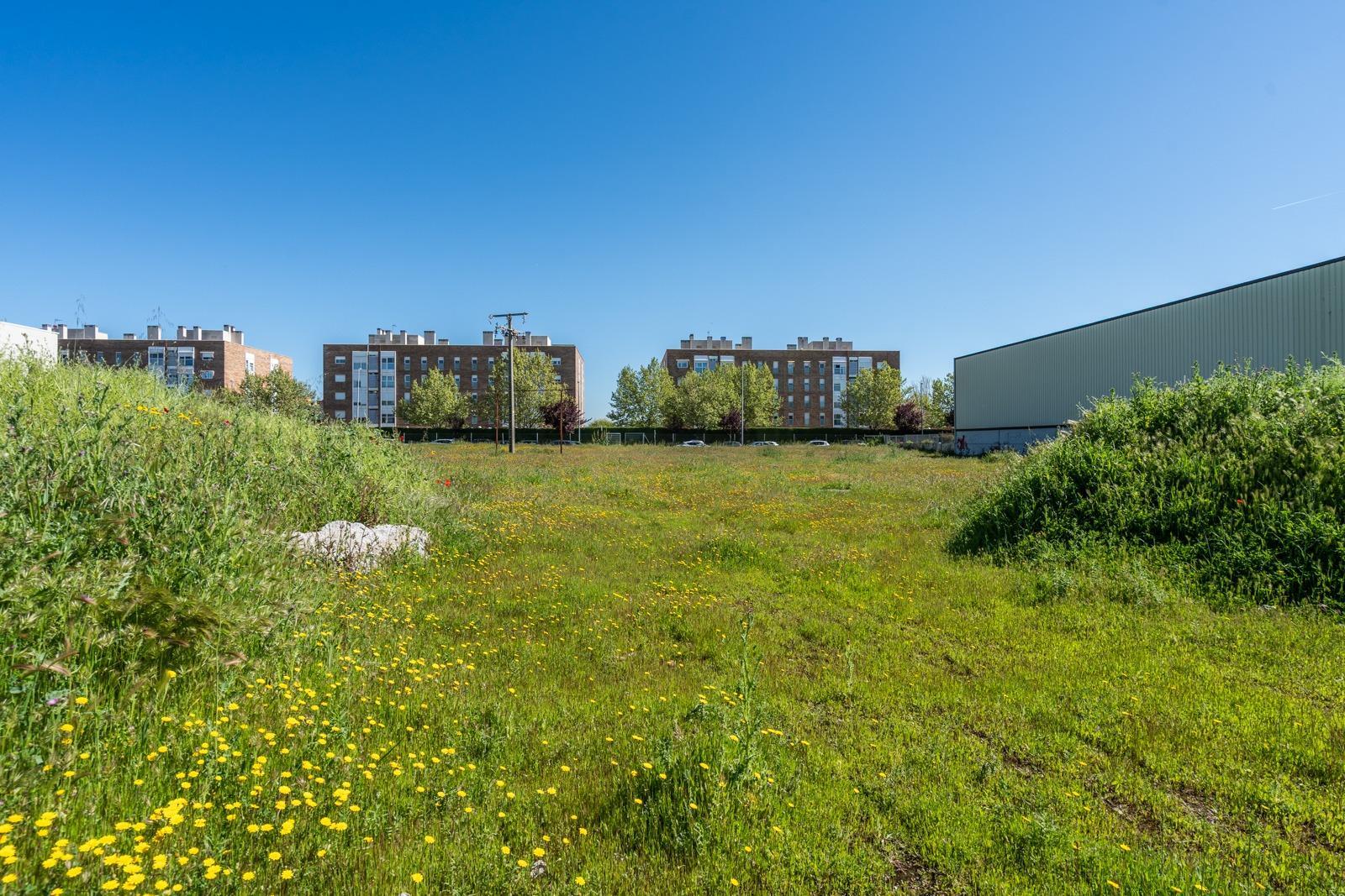 Fincas y solares-Venta-Parla-1719316-Foto-13