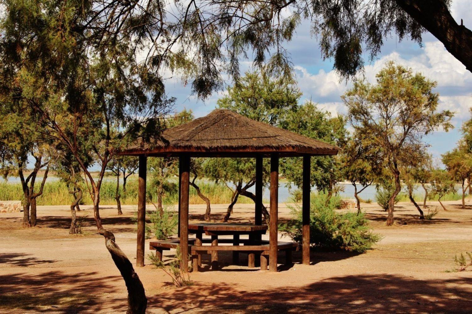 Pisos-Venta-Villafranca de los Caballeros-1021053-Foto-16