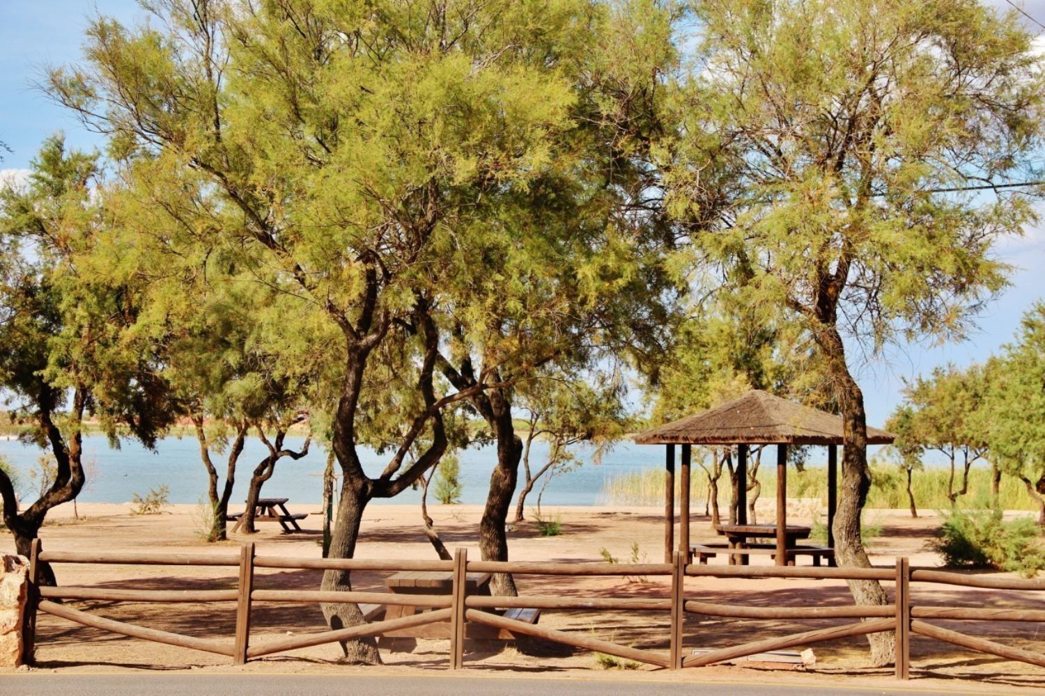 Pisos-Venta-Villafranca de los Caballeros-1021053-Foto-17