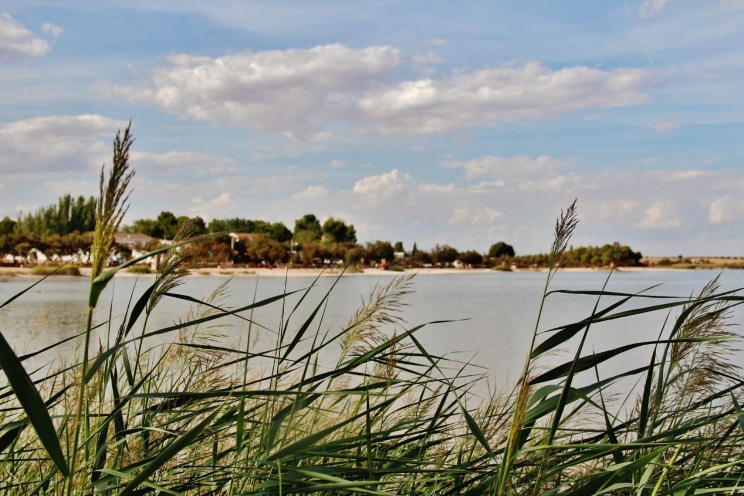 Pisos-Venta-Villafranca de los Caballeros-1021053-Foto-25