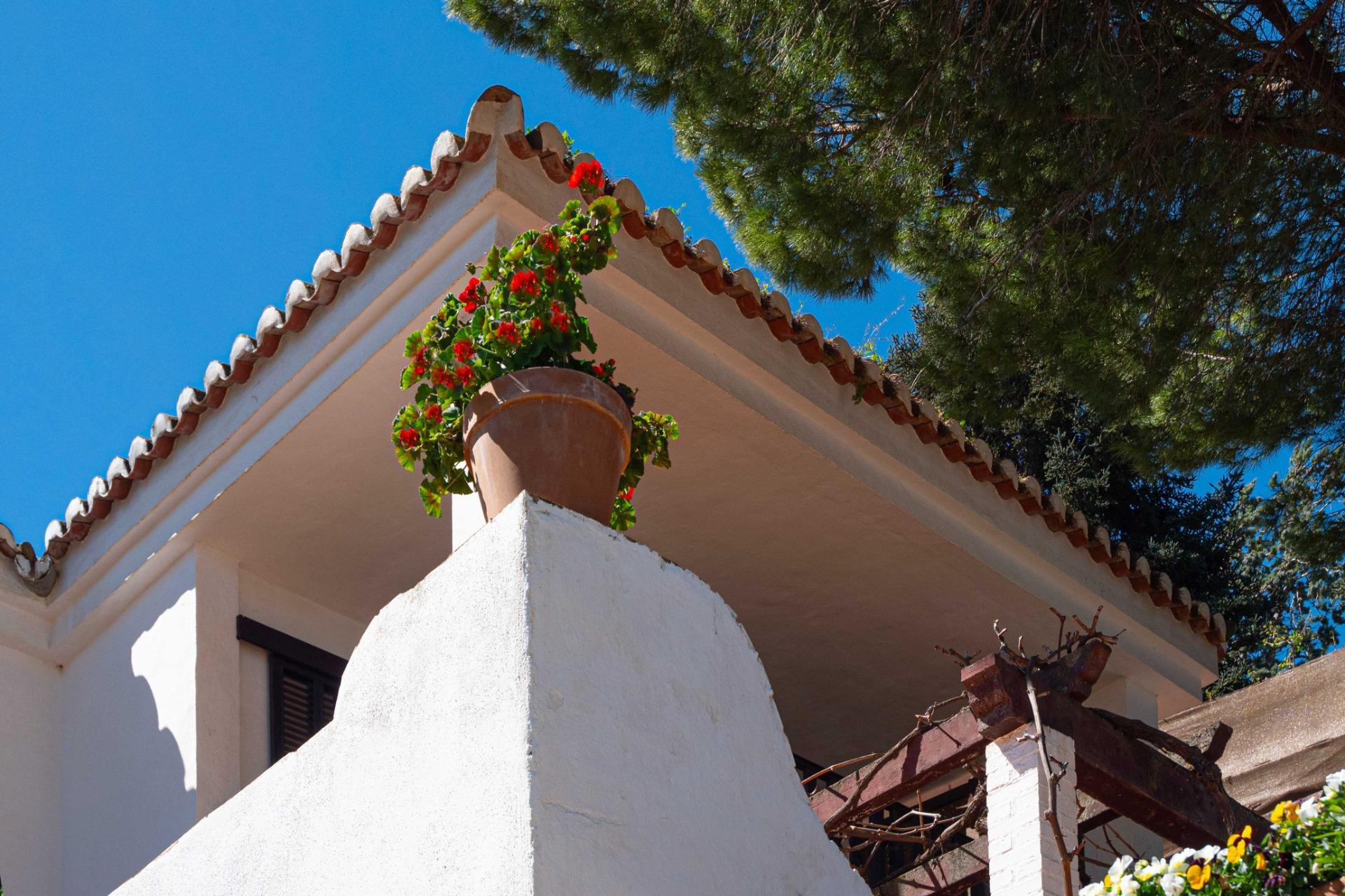 Casas o chalets-Venta-Ronda-1710381-Foto-19