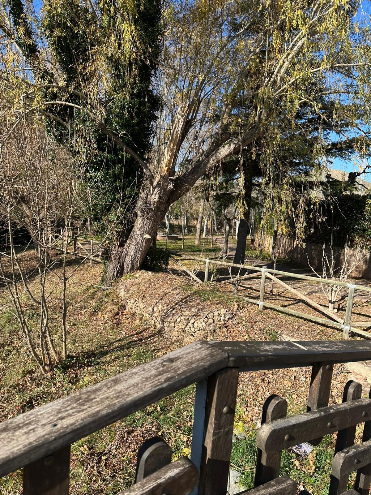 Pisos-Venta-Illueca-2015680-Foto-57