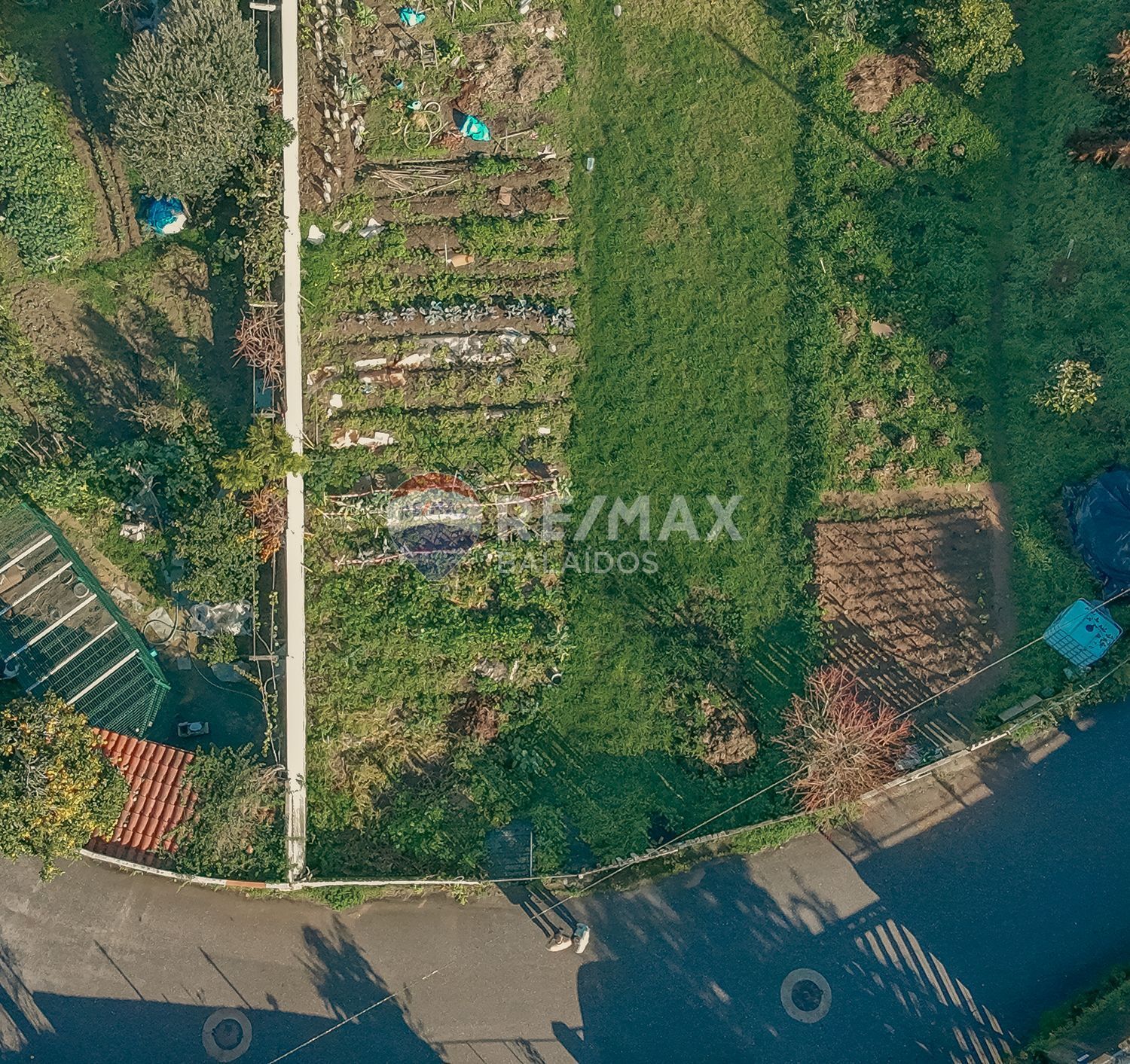 Fincas y solares-Venta-Vigo-2031324-Foto-4