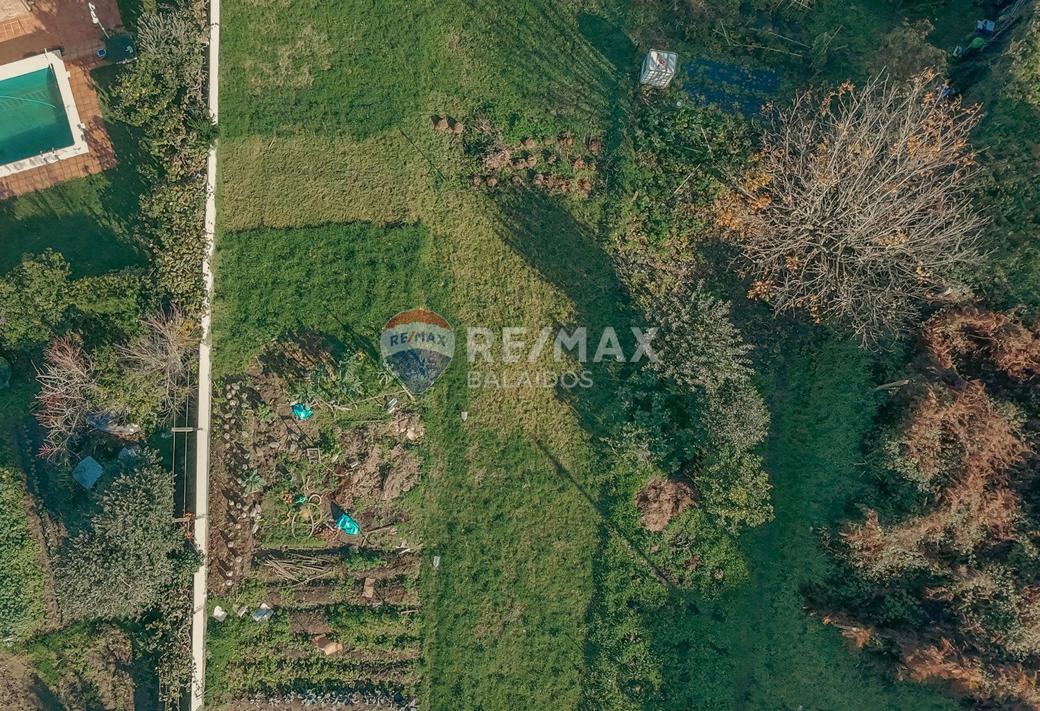 Fincas y solares-Venta-Vigo-2031324-Foto-7