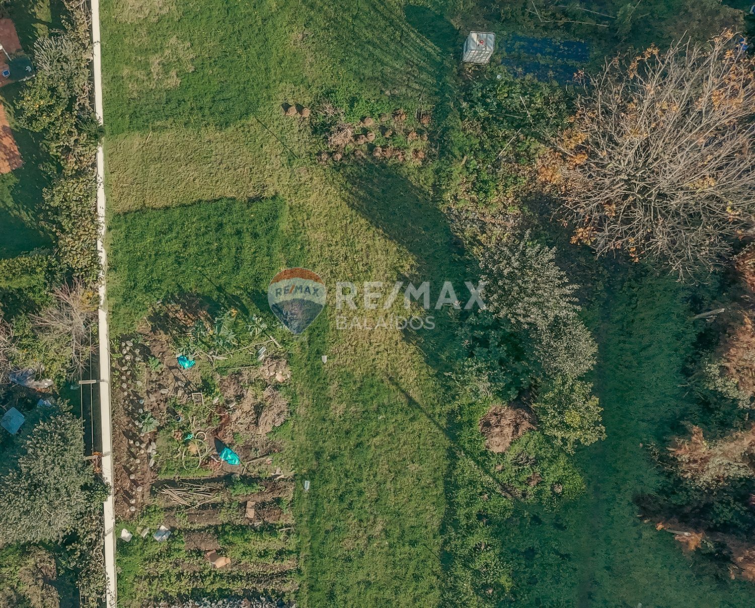 Fincas y solares-Venta-Vigo-2031324-Foto-6