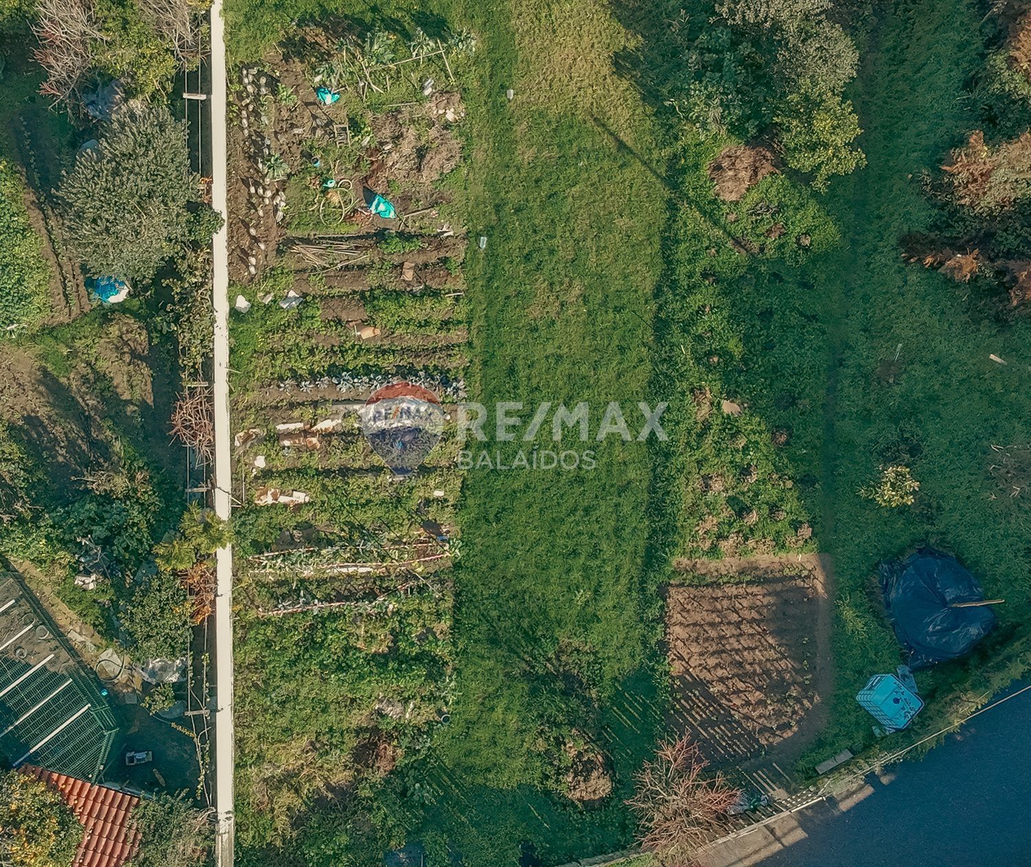 Fincas y solares-Venta-Vigo-2031324-Foto-5