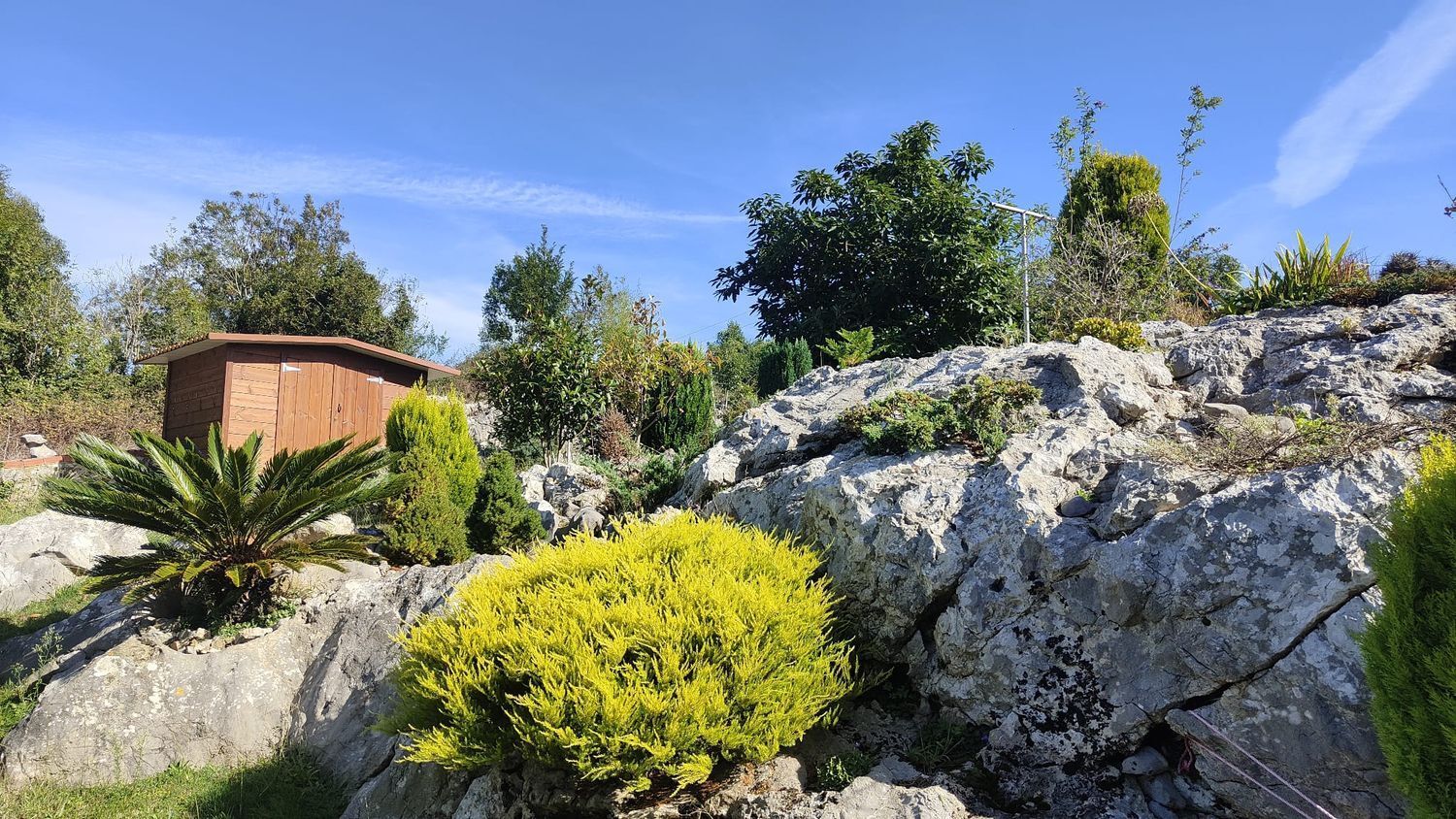 Casas o chalets-Venta-Les Avellanes i Santa Linya-1885339-Foto-24