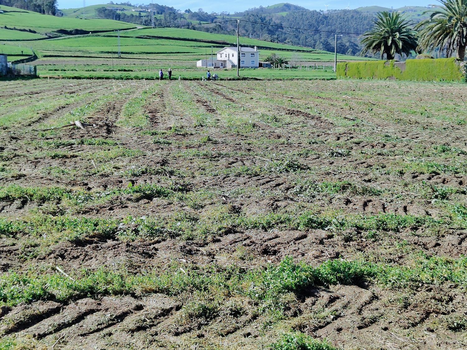 Propiedad en venta en Asturias, Luarca - Valdés