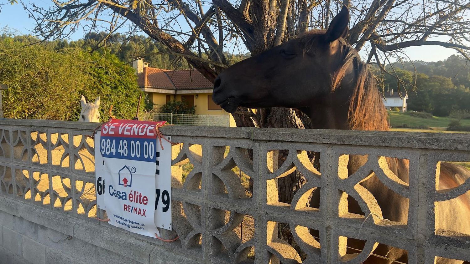 Fincas y solares-Venta-GijÃ³n-1838494-Foto-8