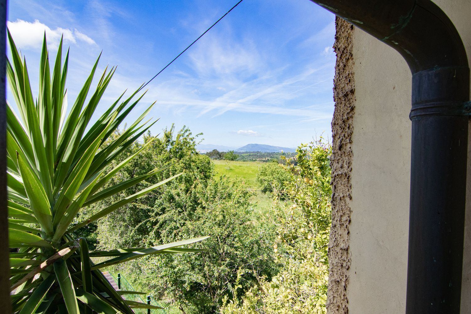 Casas o chalets-Venta-Siero-1102713-Foto-42