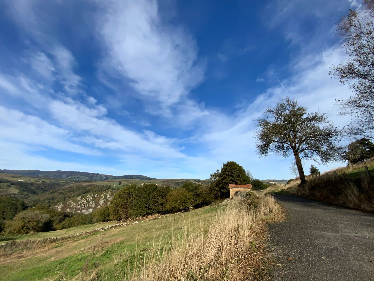 Casas o chalets-Venta-Tineo-2015635-Foto-10