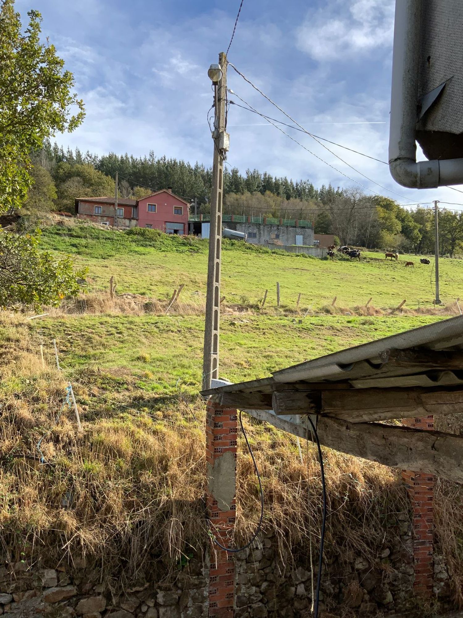 Casas o chalets-Venta-Tineo-2015635-Foto-27