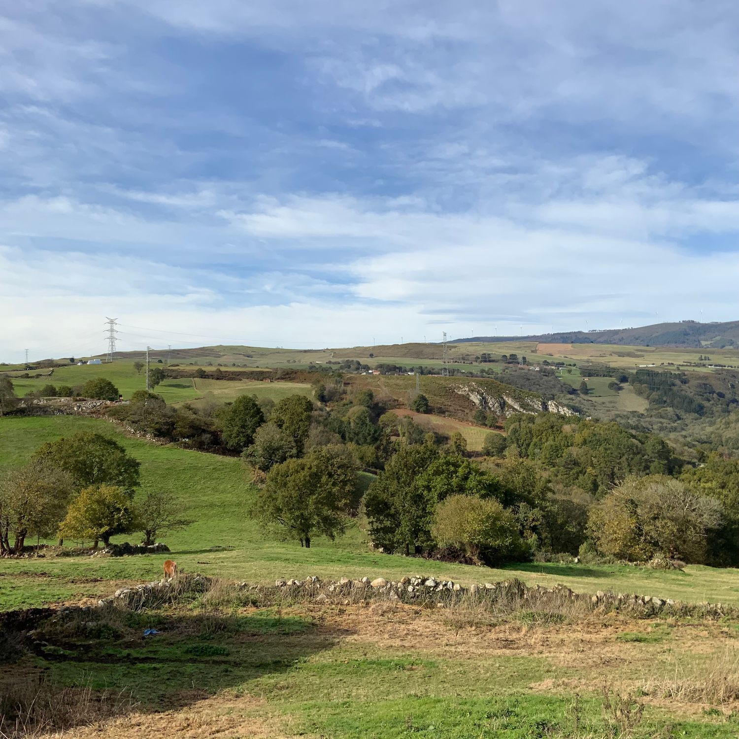 Casas o chalets-Venta-Tineo-2015635-Foto-35