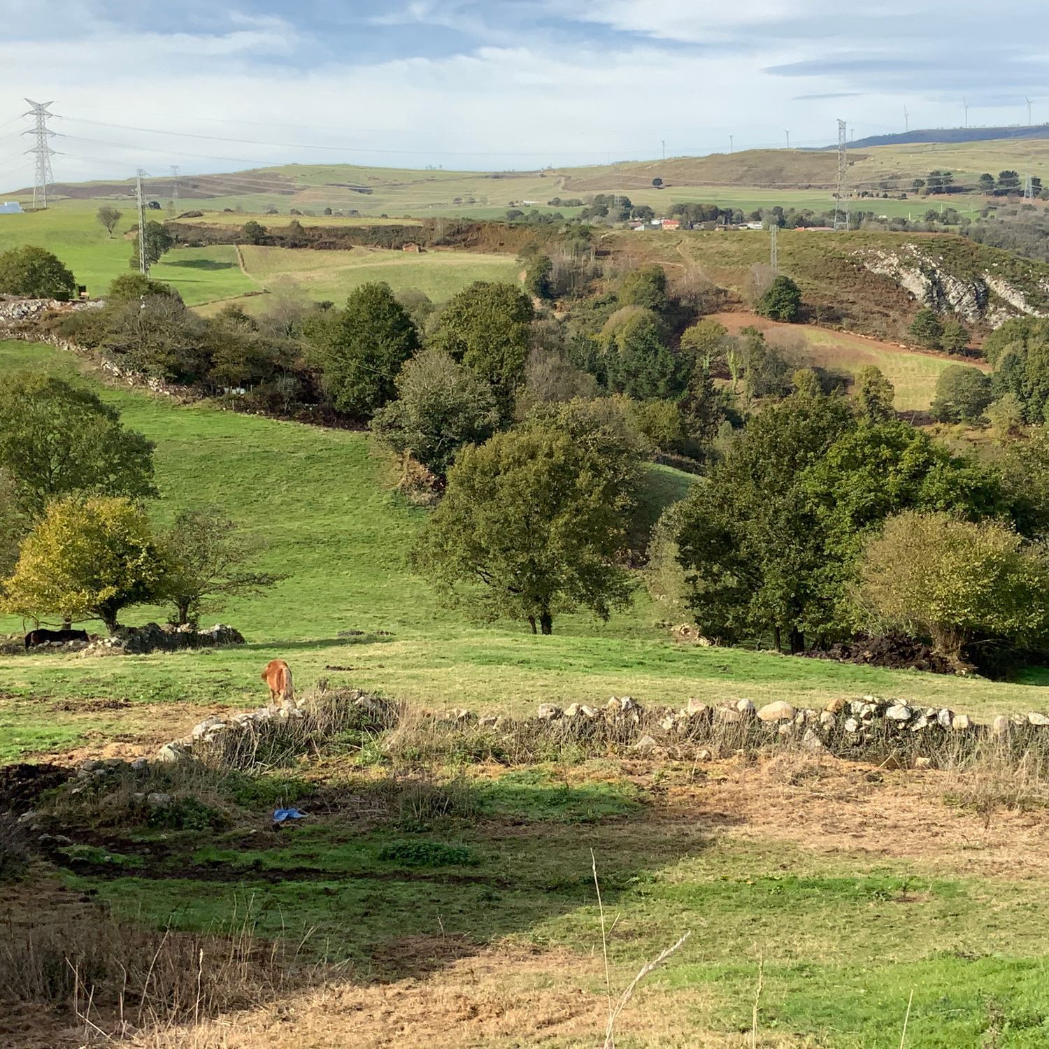 Casas o chalets-Venta-Tineo-2015635-Foto-39