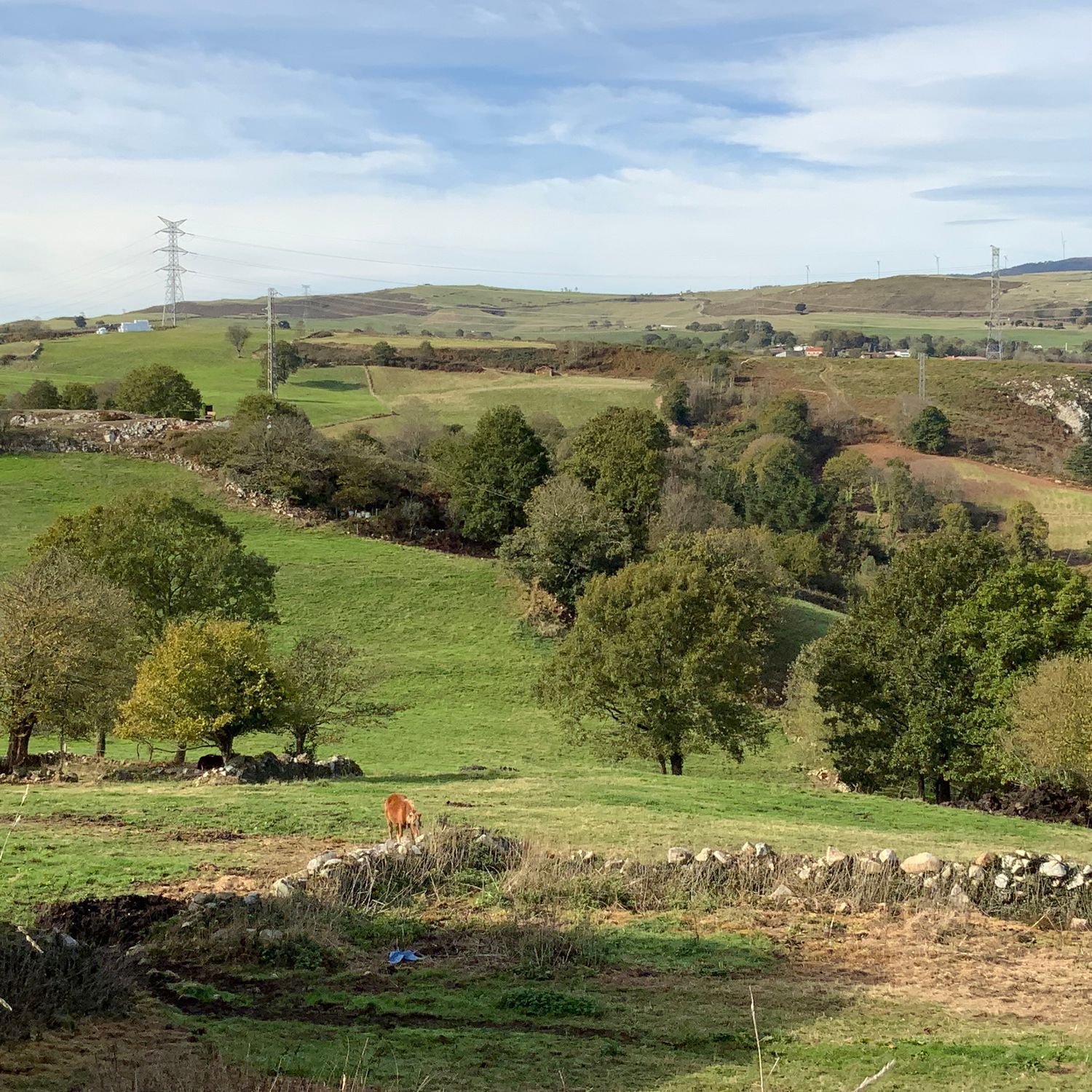 Casas o chalets-Venta-Tineo-2015635-Foto-38