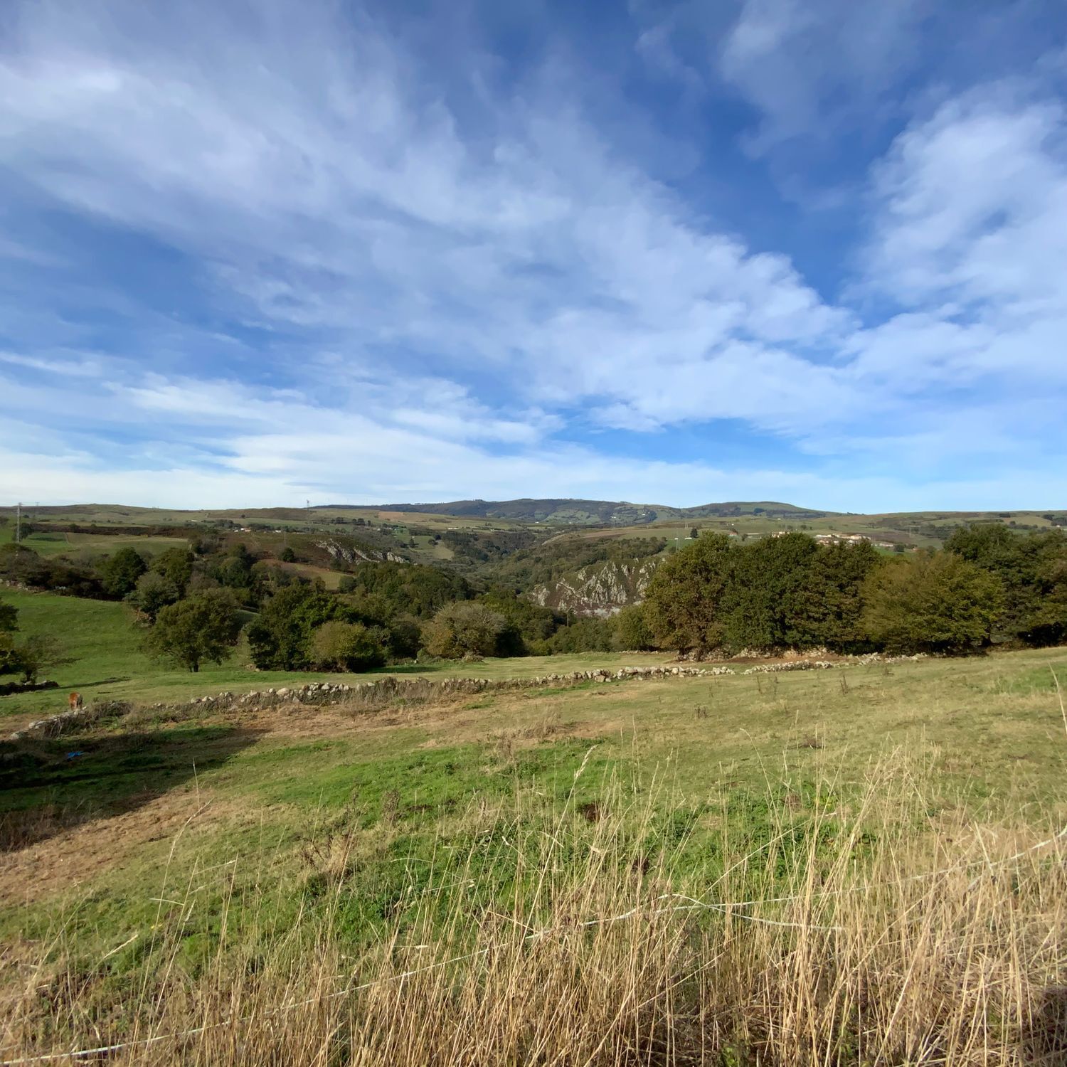 Casas o chalets-Venta-Tineo-2015635-Foto-40