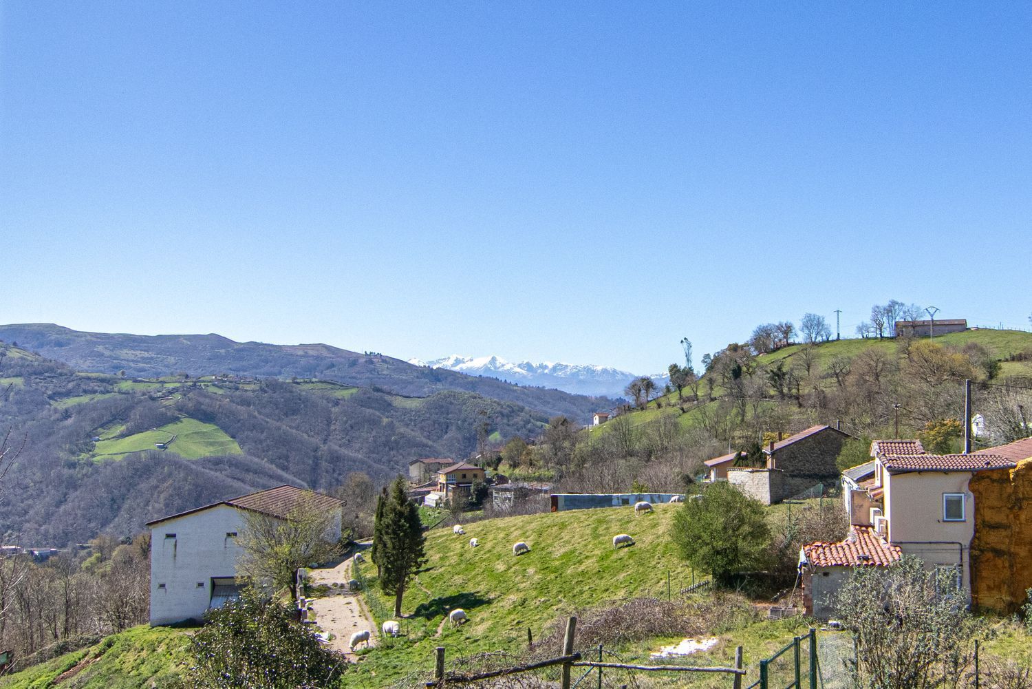 Casas o chalets-Venta-Mieres-1706252-Foto-49