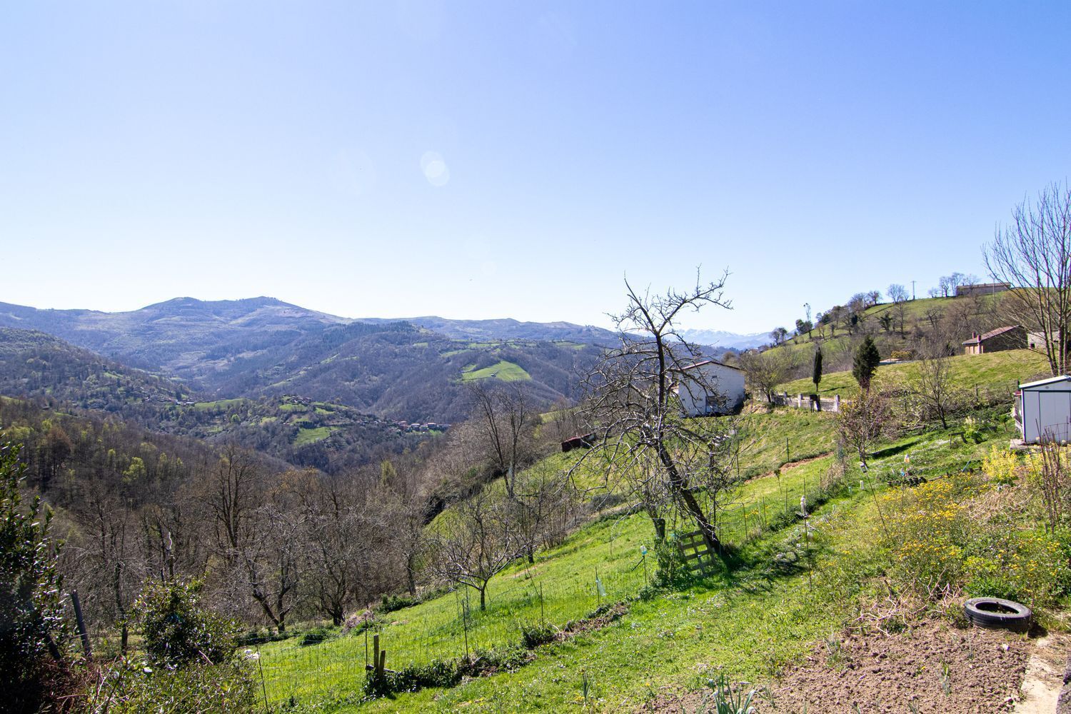 Casas o chalets-Venta-Mieres-1706252-Foto-54