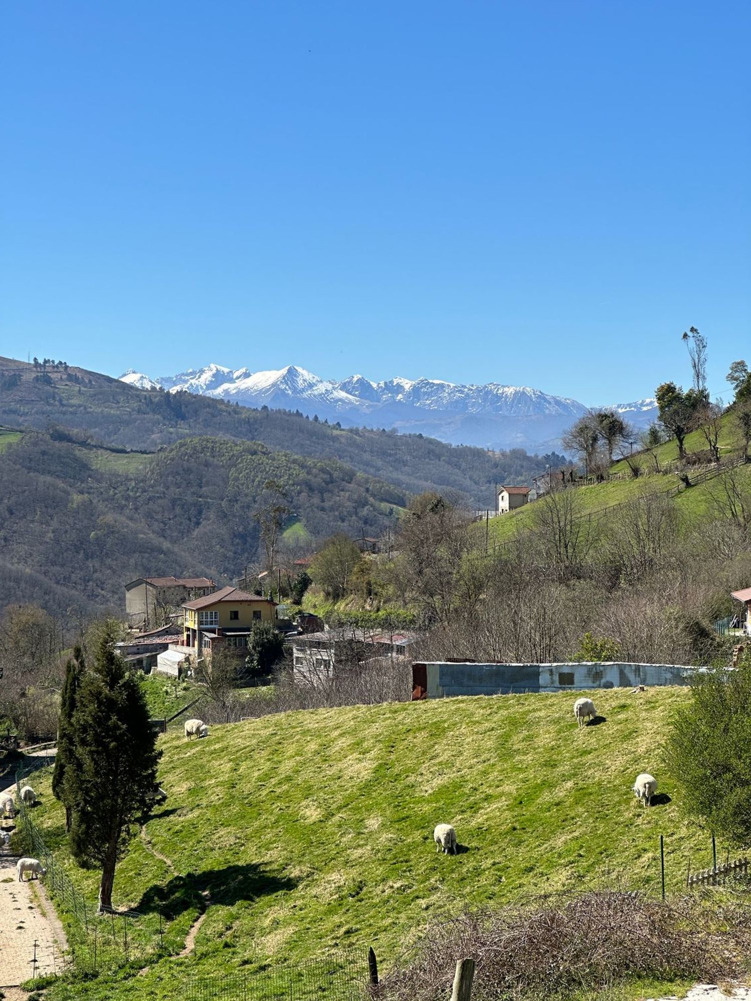 Casas o chalets-Venta-Mieres-1706252-Foto-76