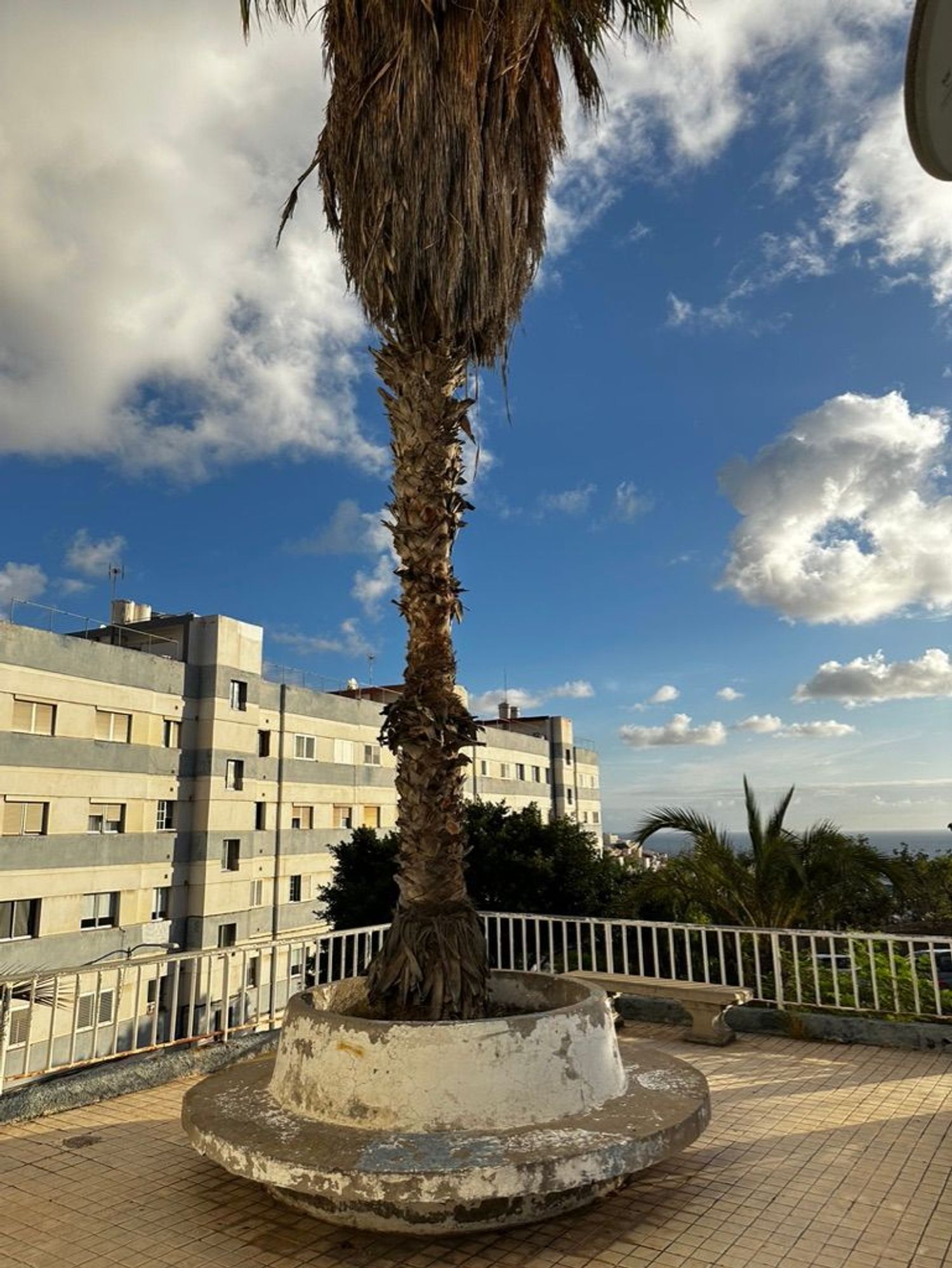 Pisos-Venta-Las Palmas de Gran Canaria-1876388-Foto-9