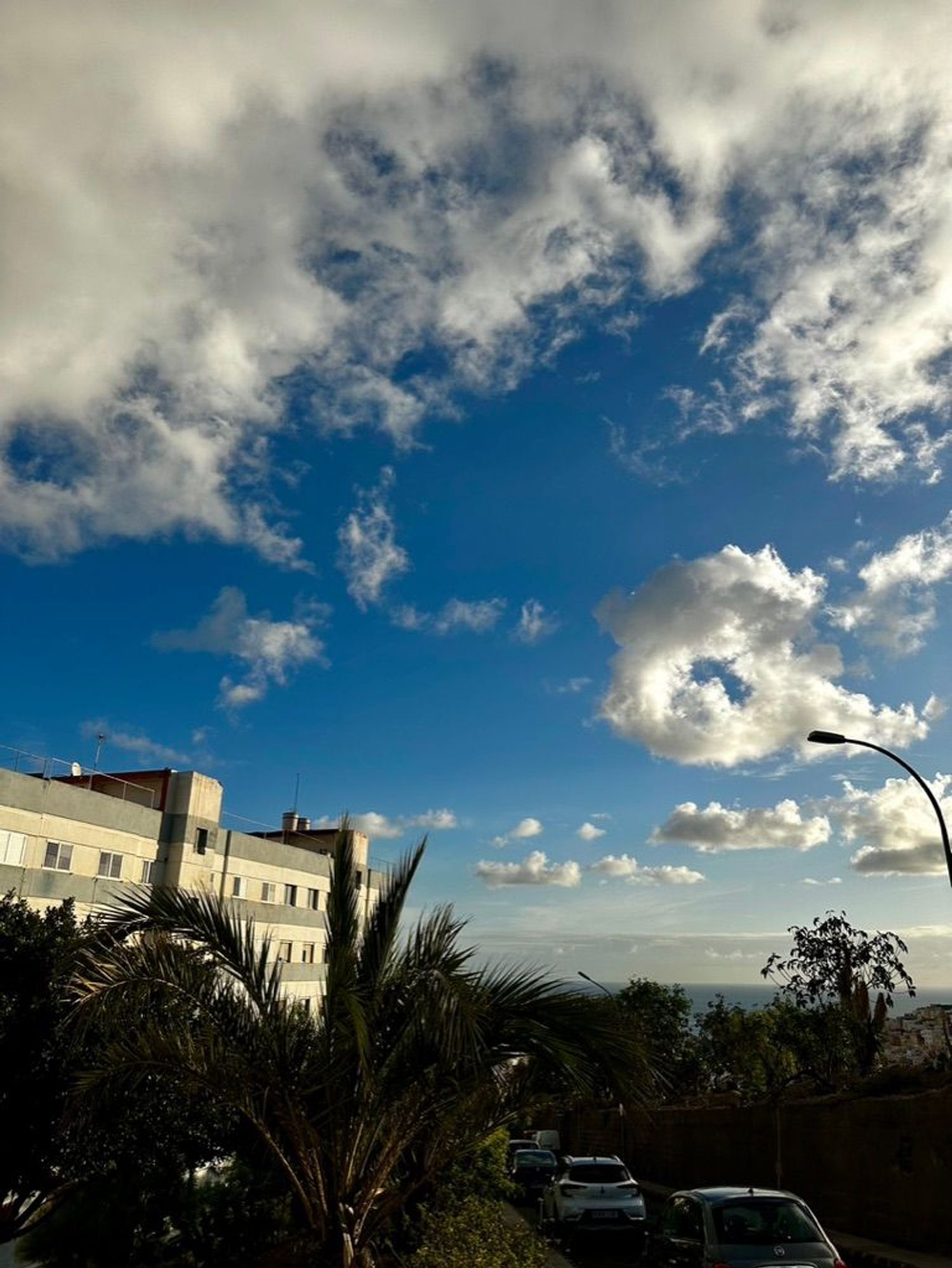 Pisos-Venta-Las Palmas de Gran Canaria-1876388-Foto-22